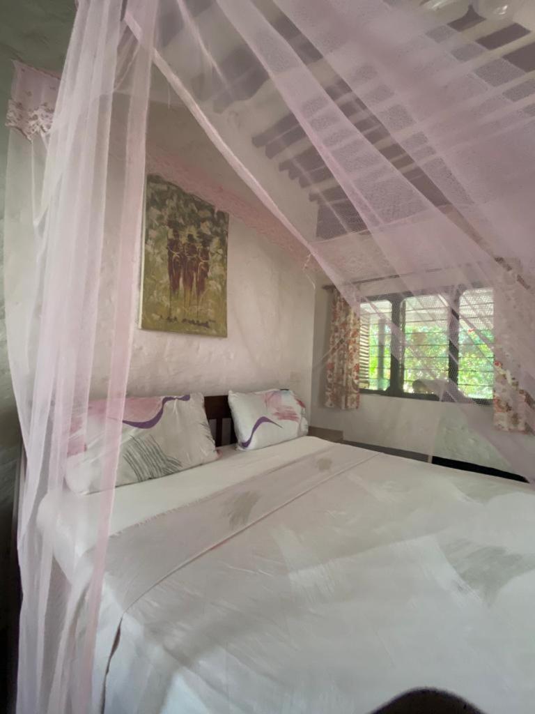 Tradewinds Lodge