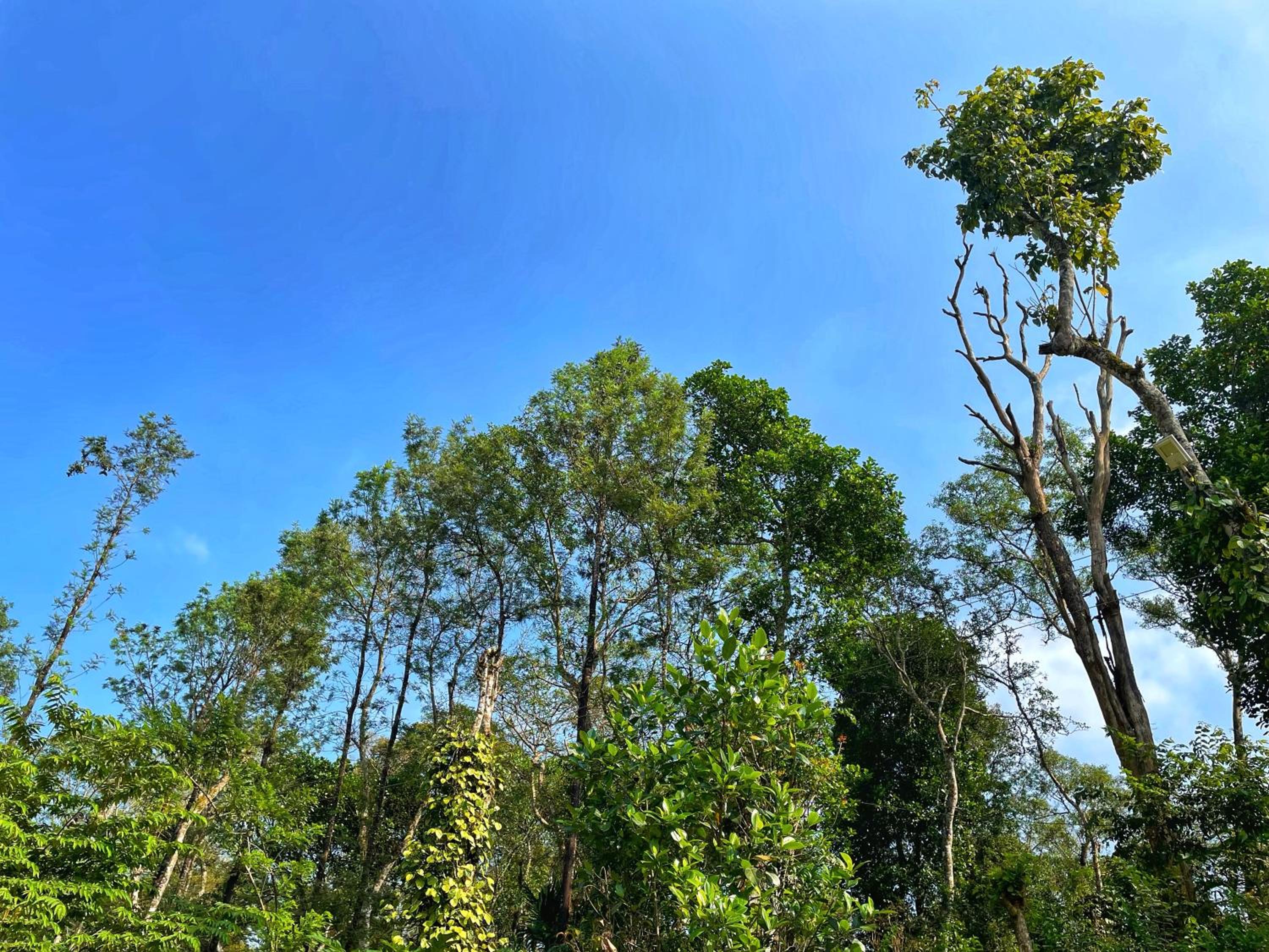 Sandev Homestay view 3