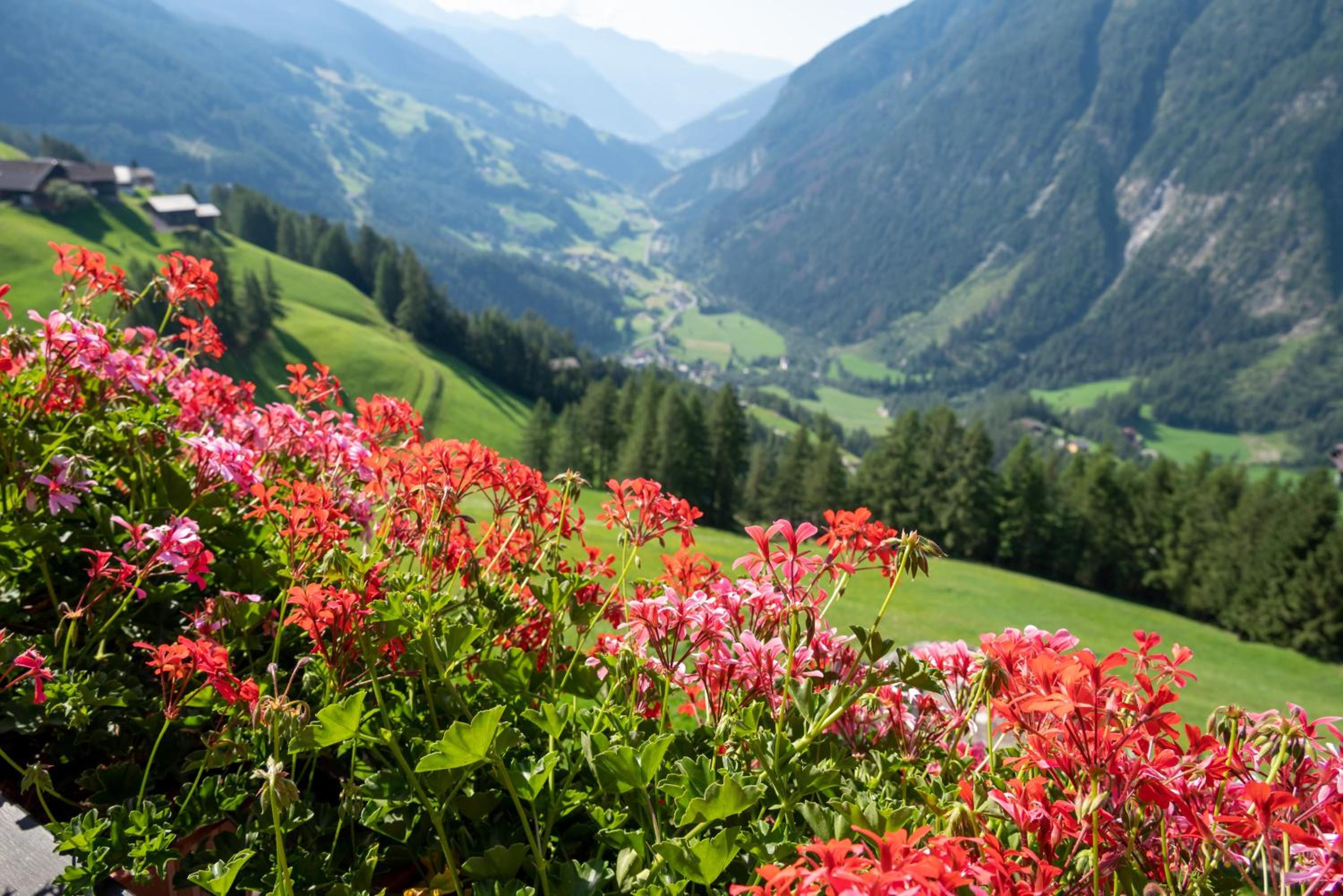 Pension Sonnleitner