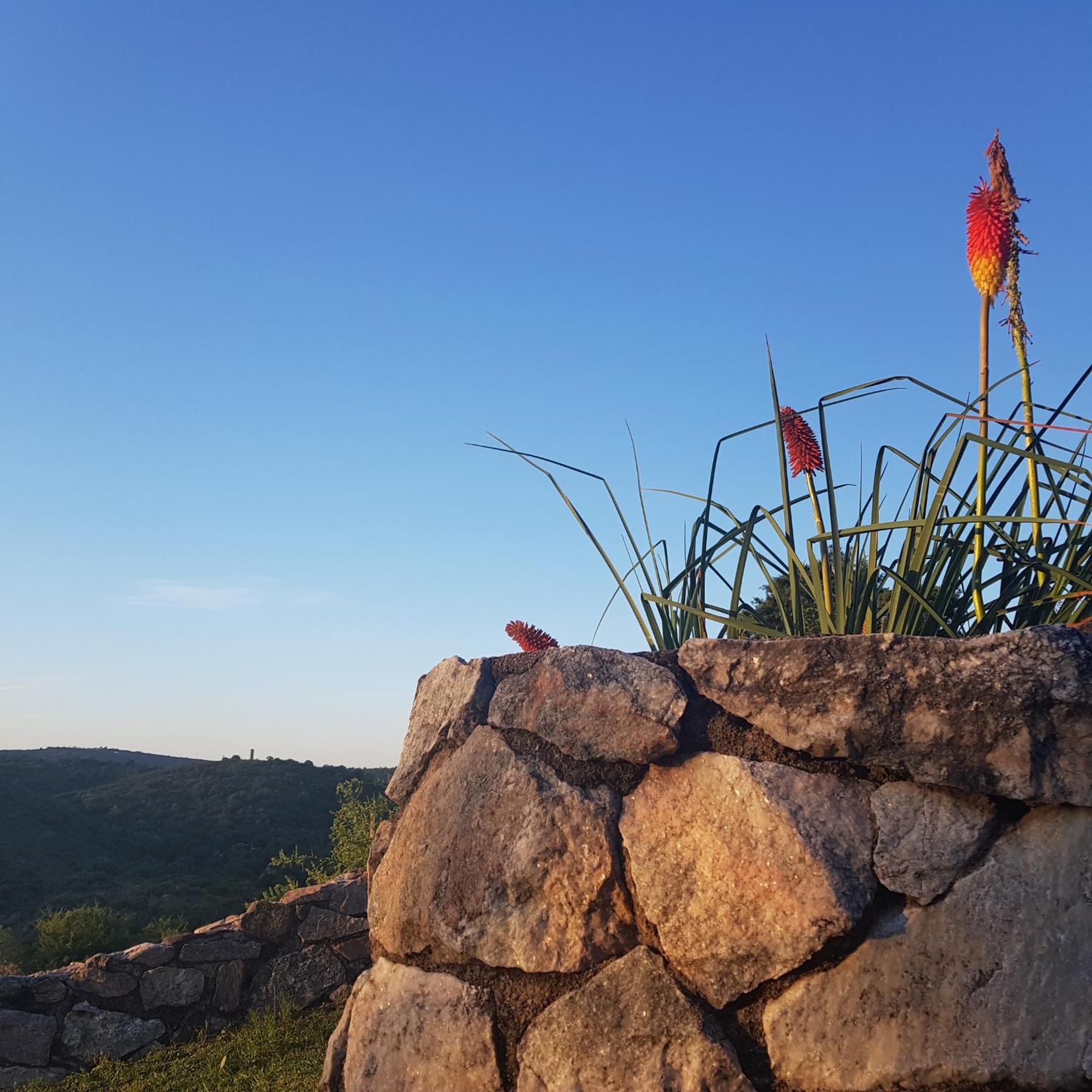 Complejo Turístico Peñón del Indio Enamorado