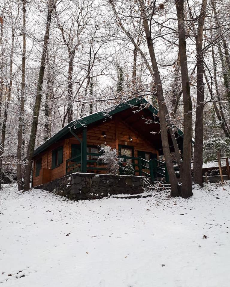 CHALET ETNA MILO view 2