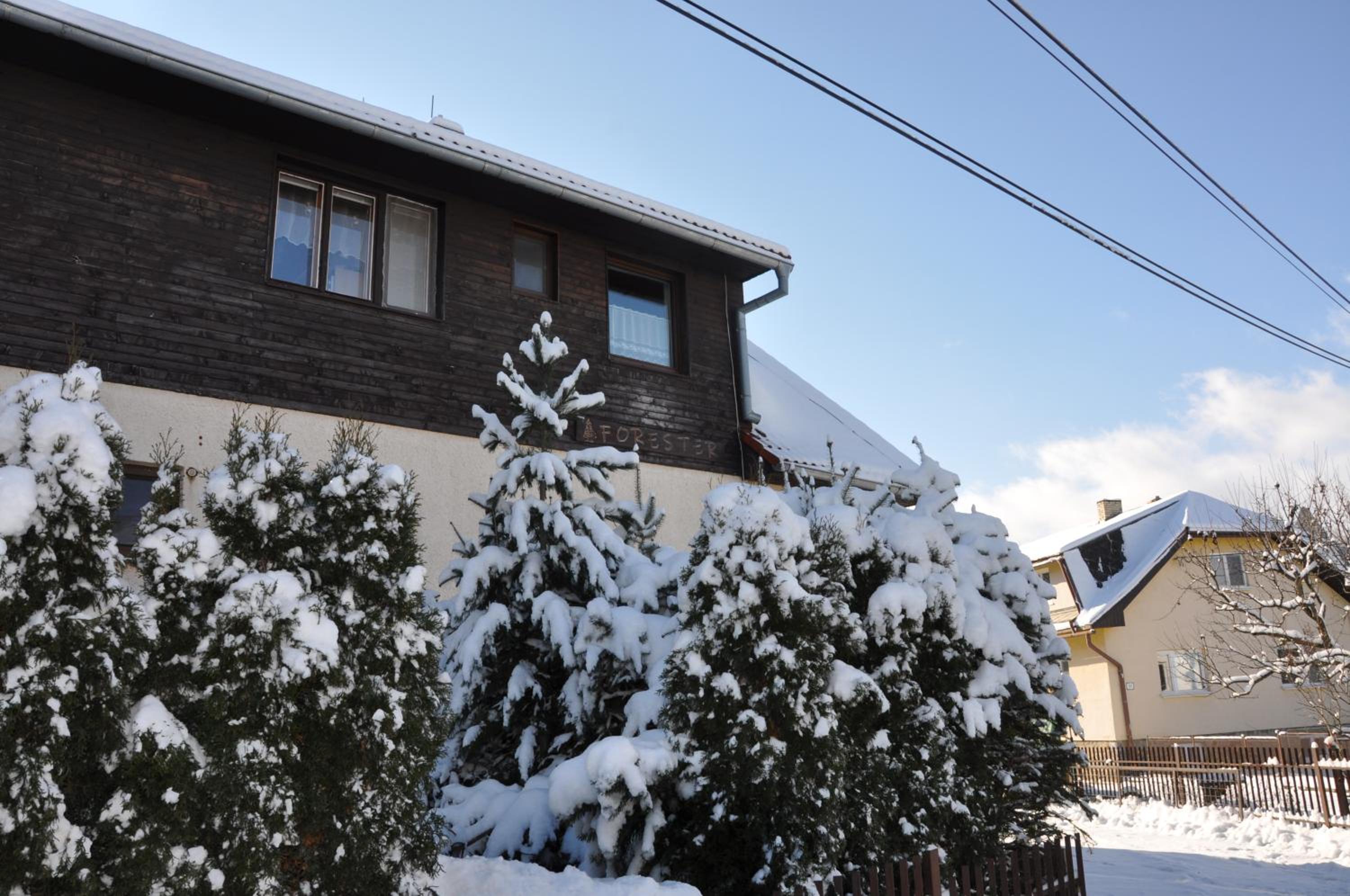 Forester Apartment Zuberec view 4