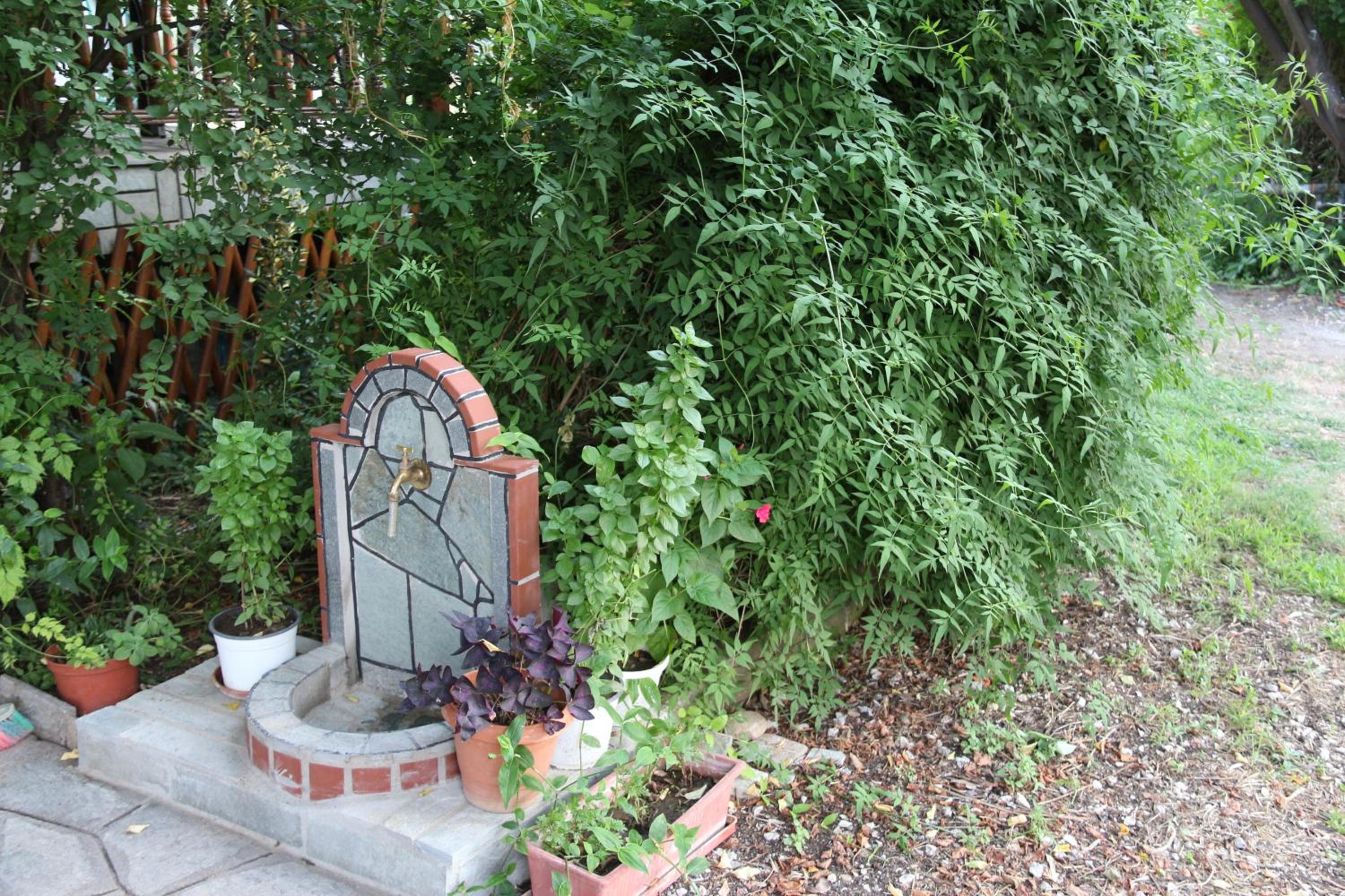 Photo 56