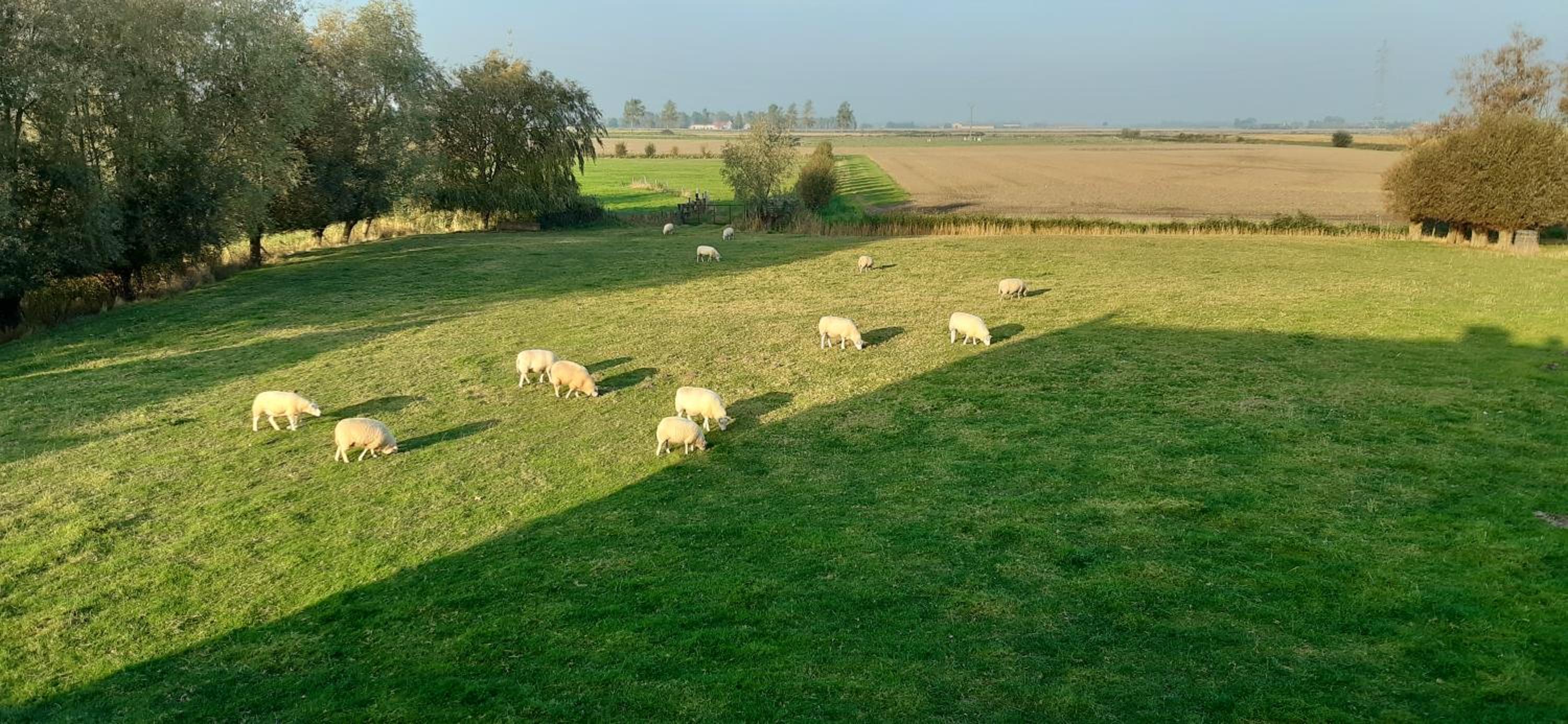 Holiday Home 't Hof der Witte Damen
