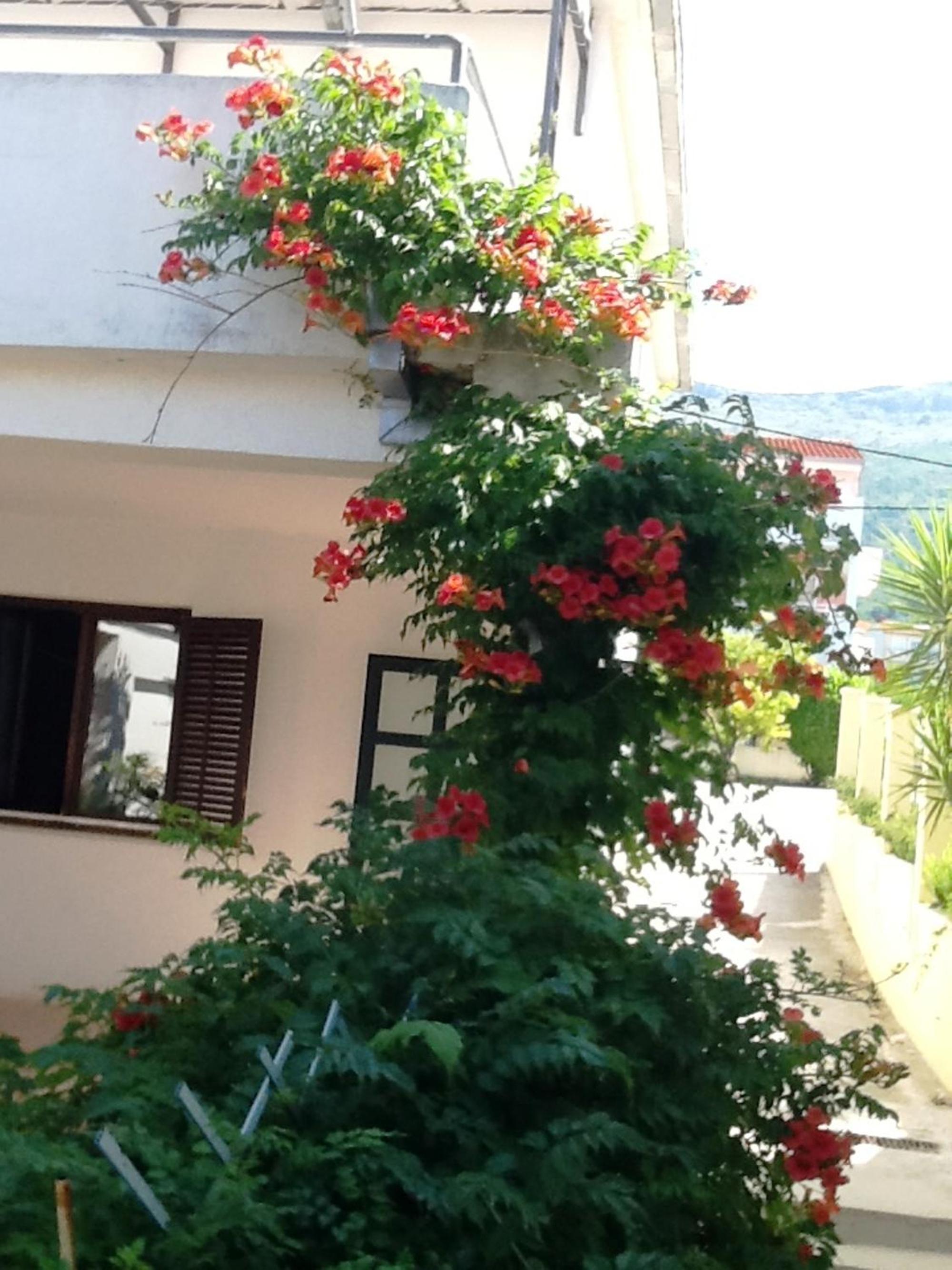 Villa Tamaris on the beach