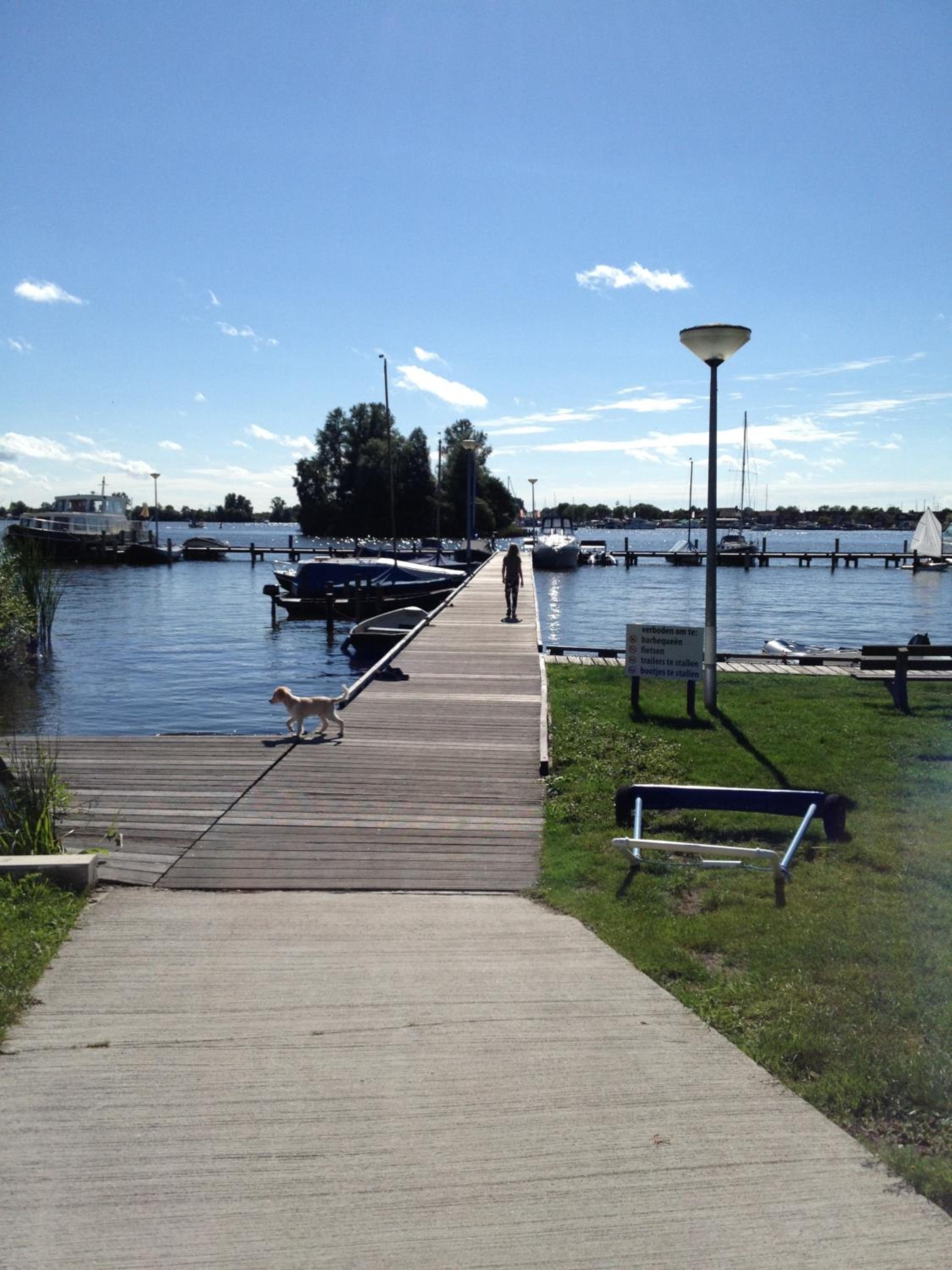Heideroosje, photo 21