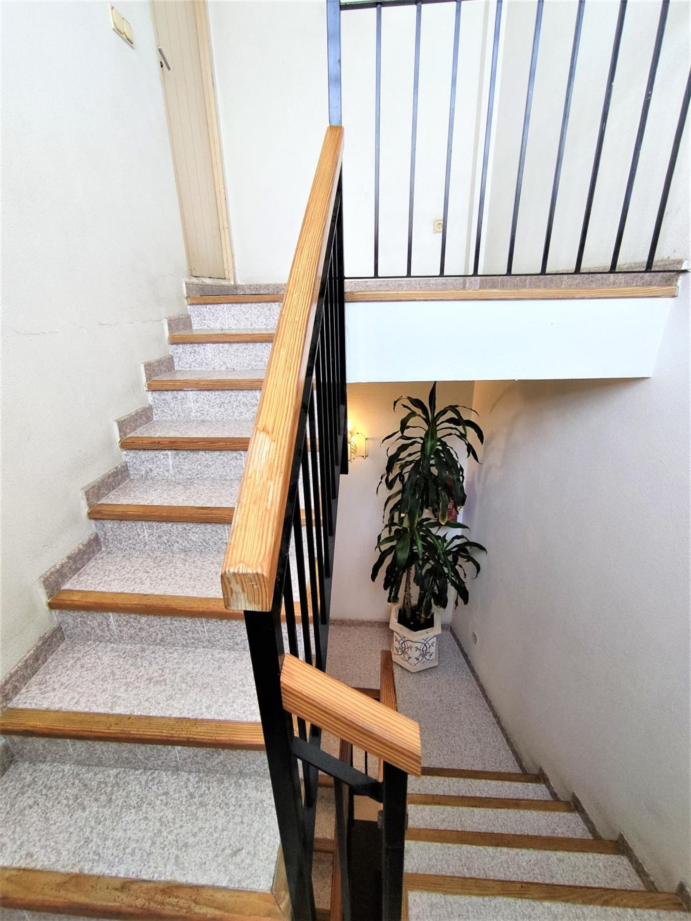 Casa Suni Alicante Centro