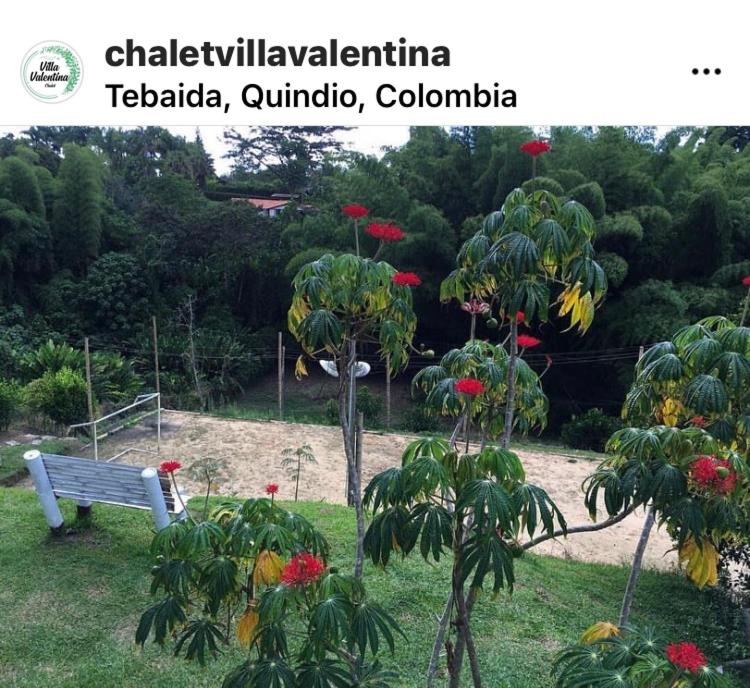 Villa Valentina