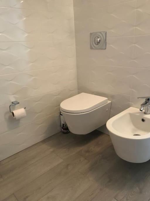 Warm apartment in the center of Tirana city