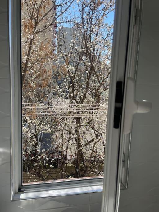 Warm apartment in the center of Tirana city