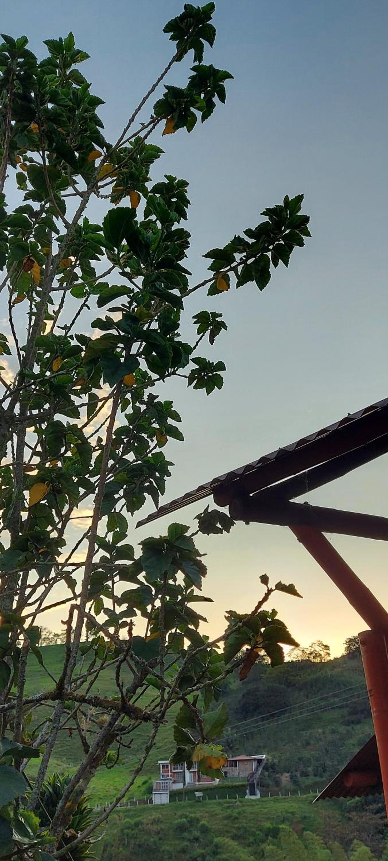 Finca Turistica La Betulia Sevilla