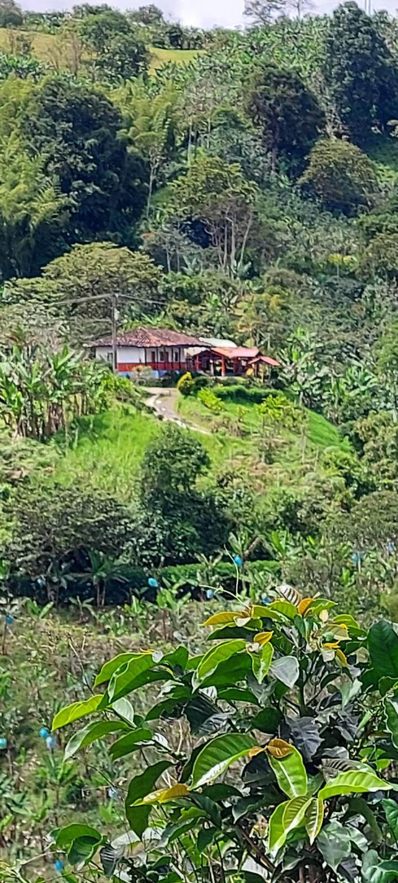 Finca Turistica La Betulia Sevilla