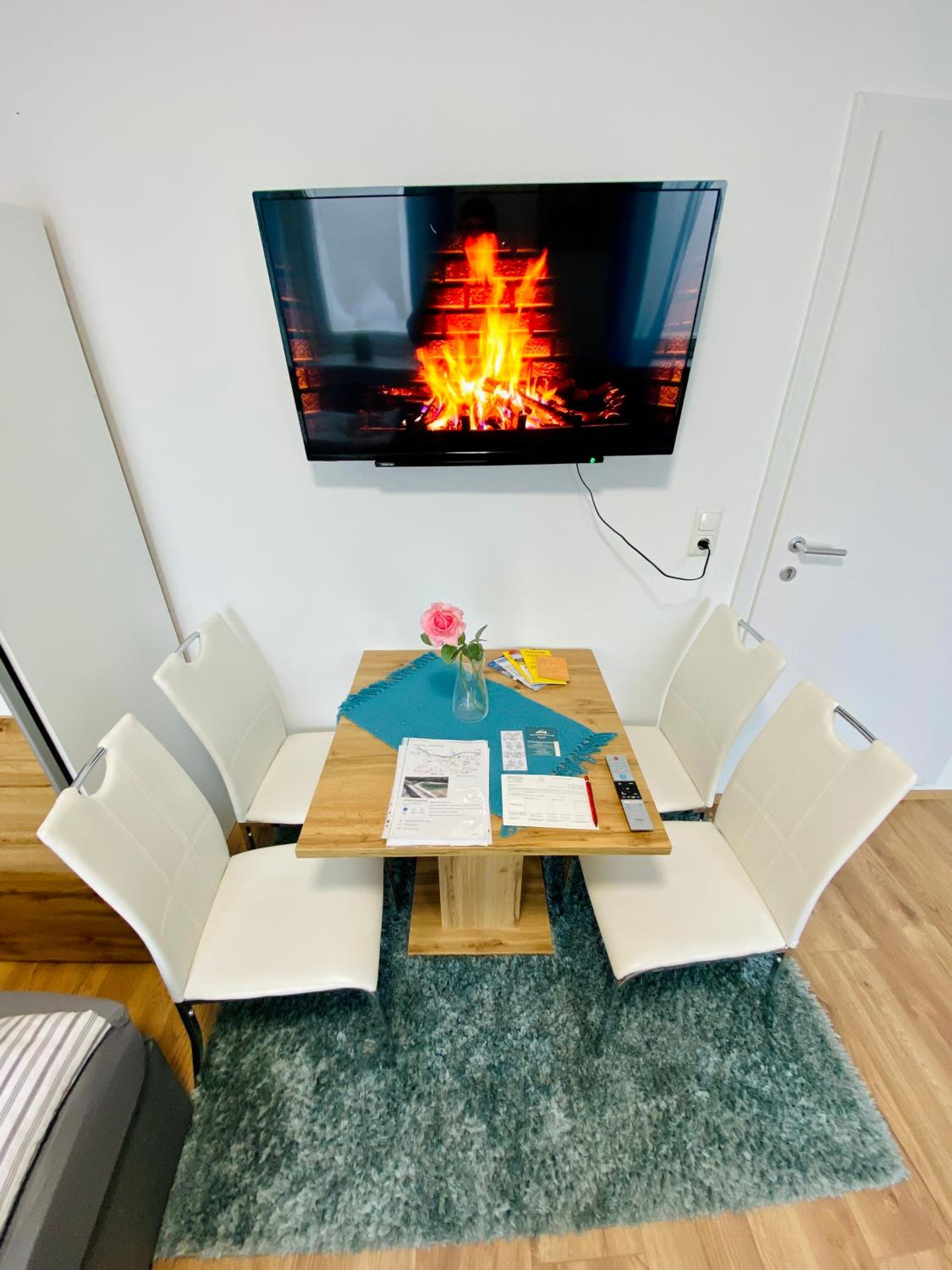 Einzimmer-Apartment 25 m2 Gartenzinken im Zentrum von Bad Ischl