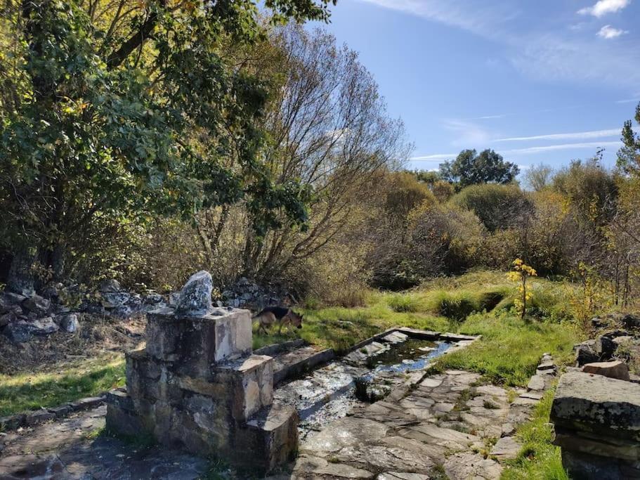 Casa Rural Tozolosolobos