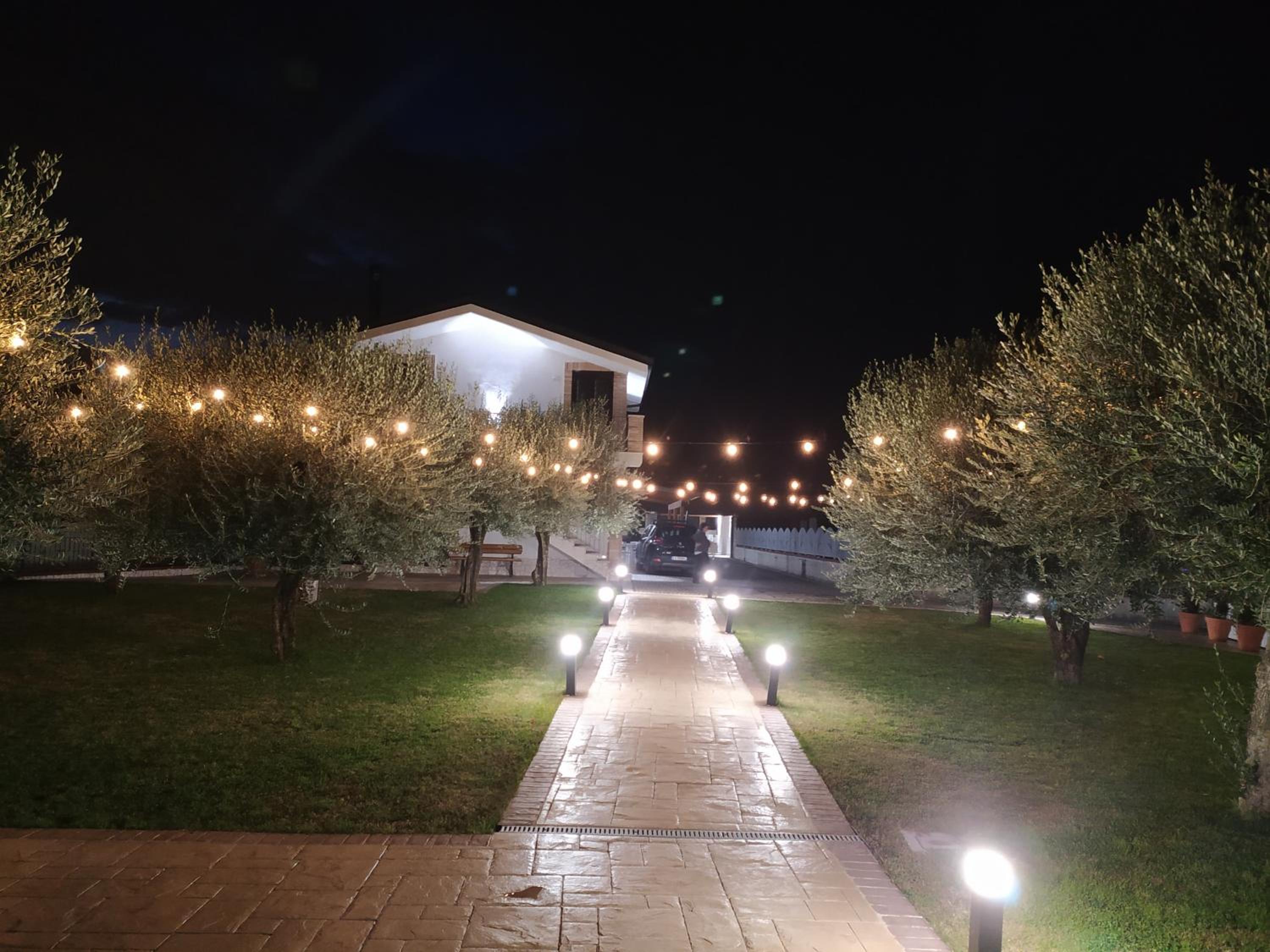 Photo 12