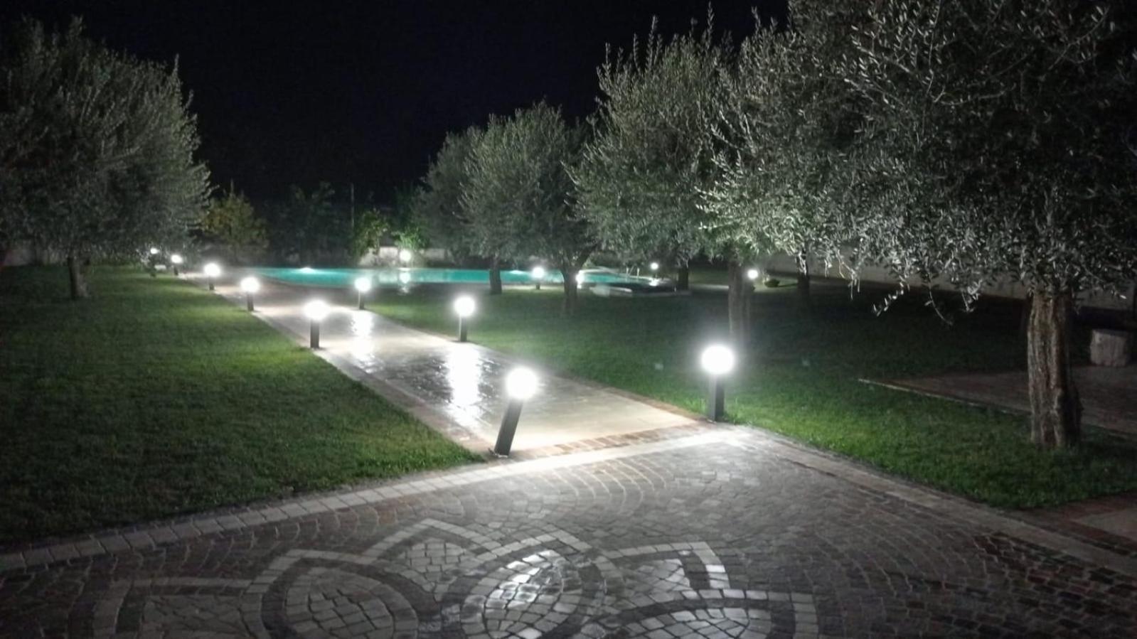 Photo 21