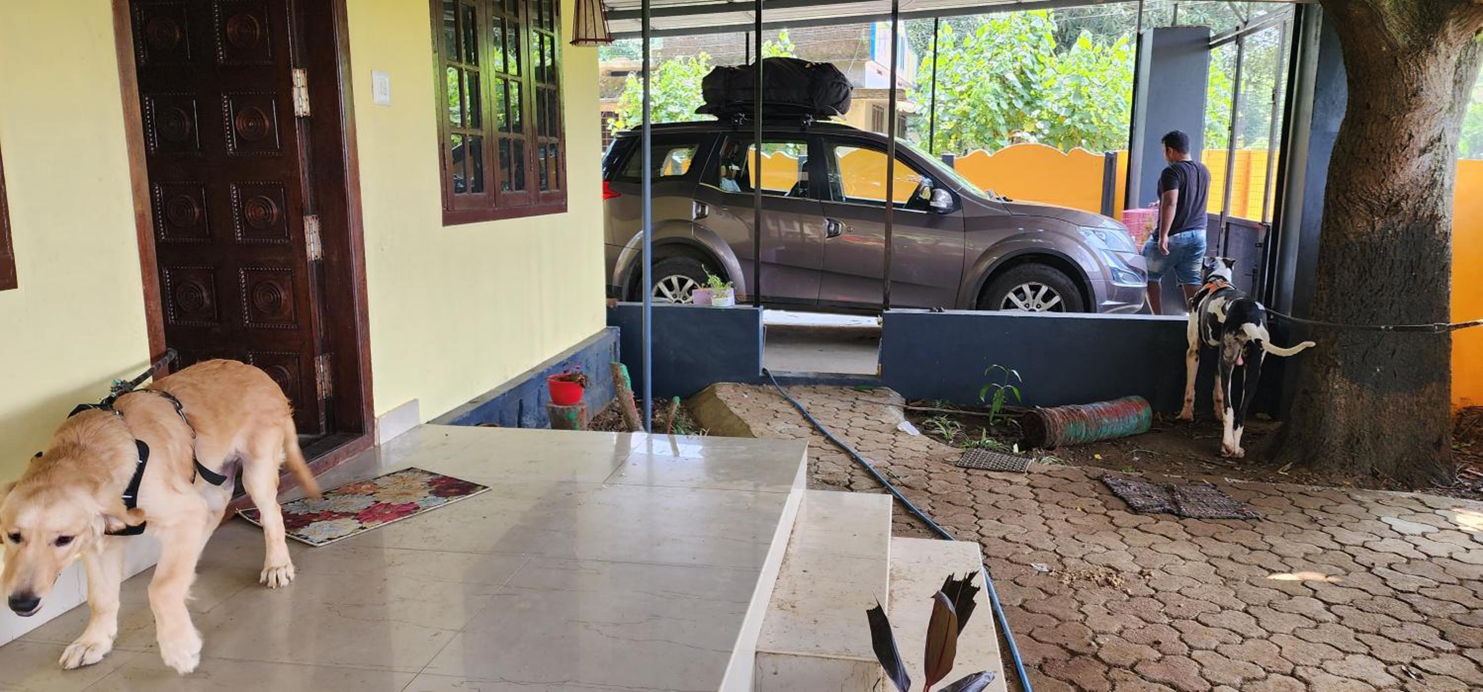 parking
