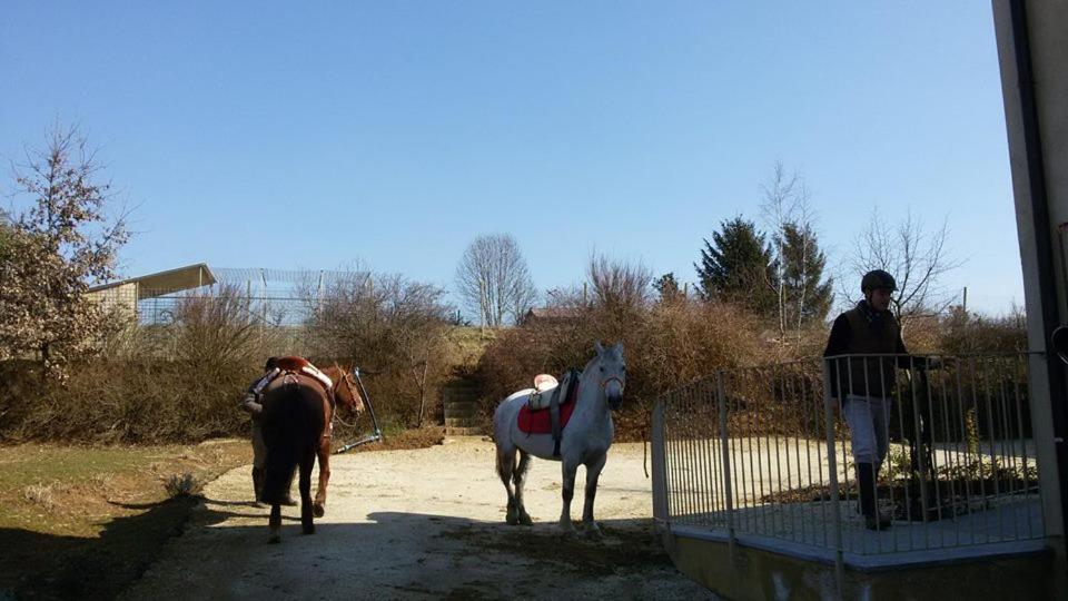 Florario B&B