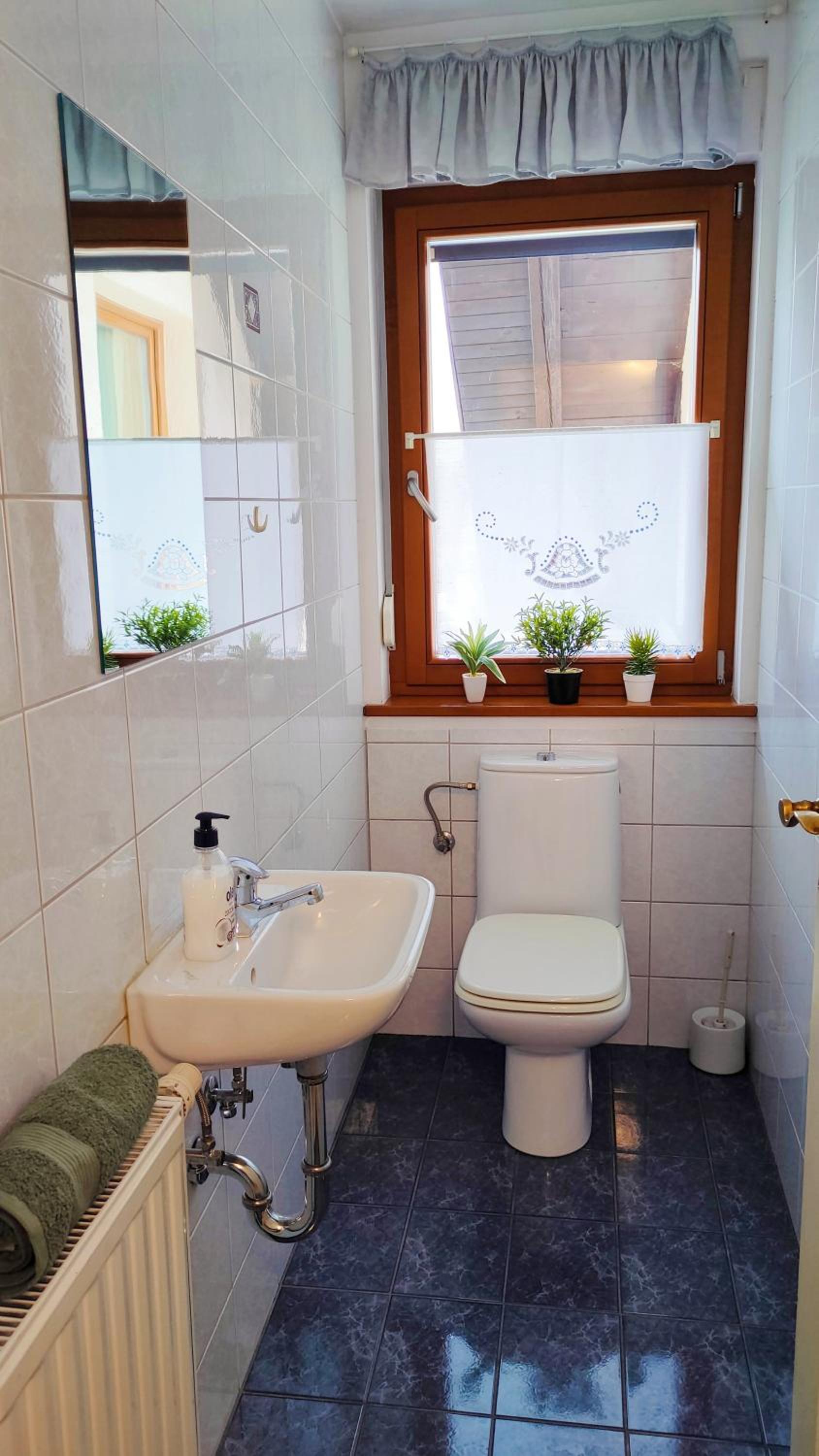 Apartmaji Dora