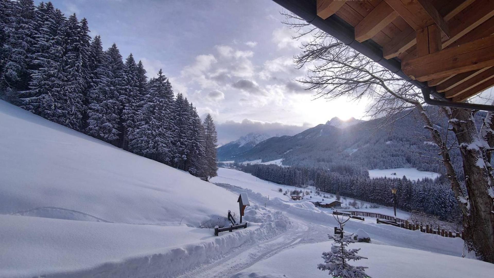 Haubenthal view 3