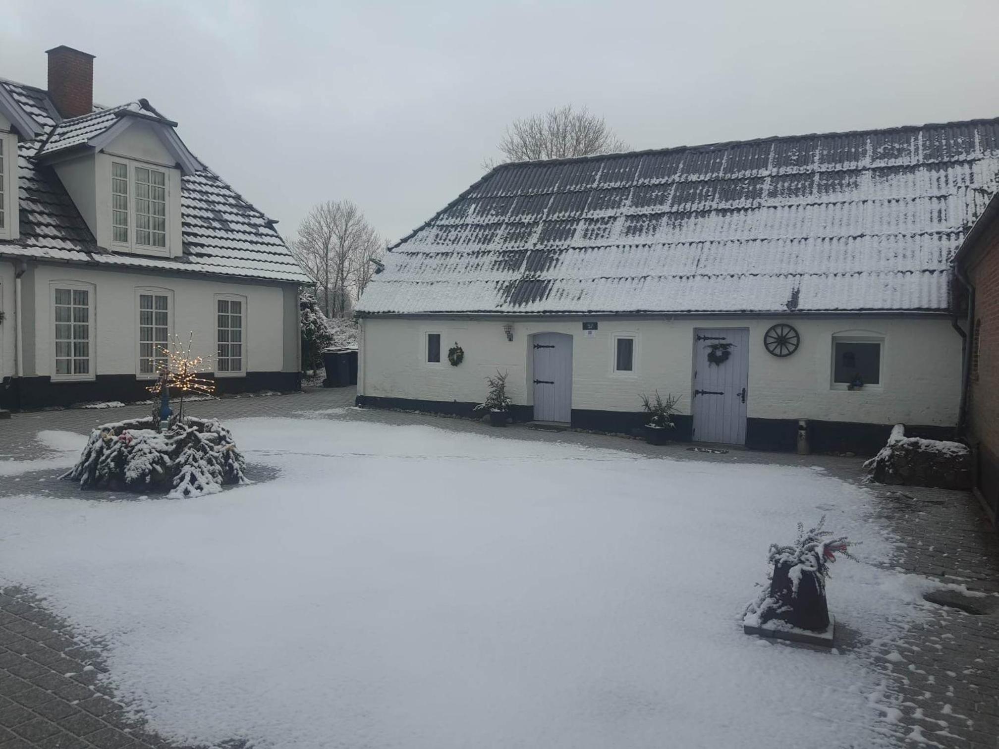 Trandafir Guesthouse