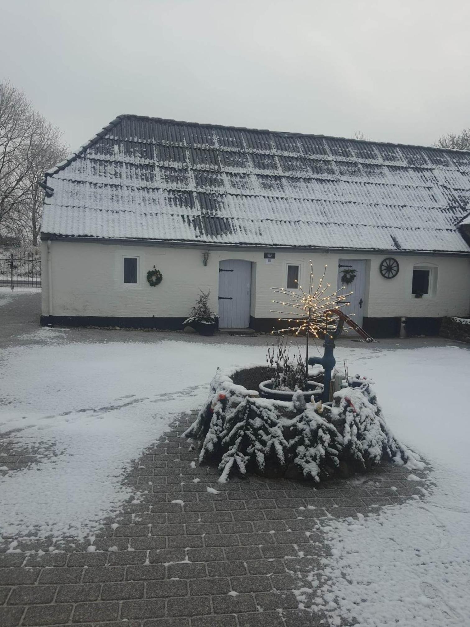 Trandafir Guesthouse
