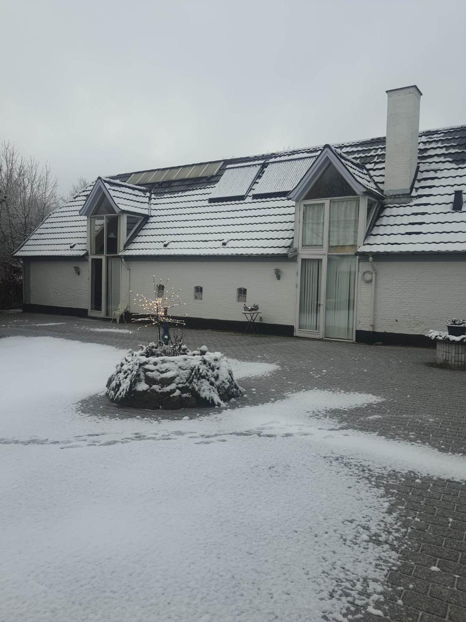 Trandafir Guesthouse