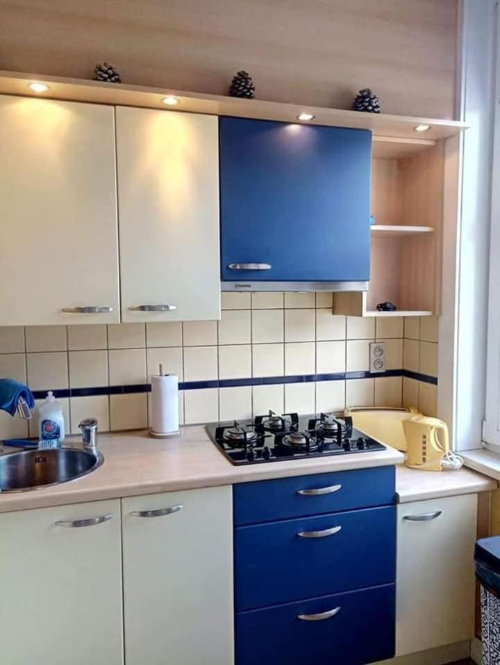 Villa Jean gezellig appartement met zeezicht