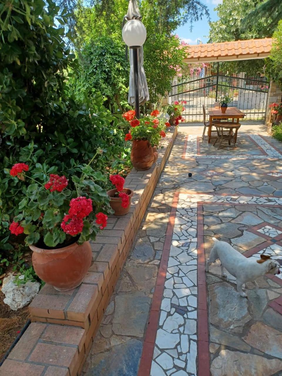Photo 9