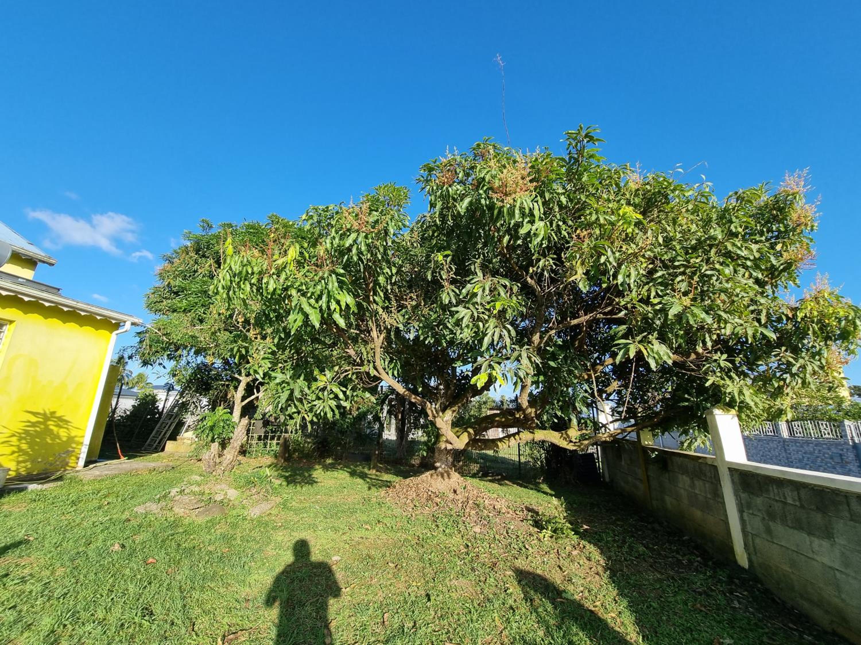 Villa Caraïbes