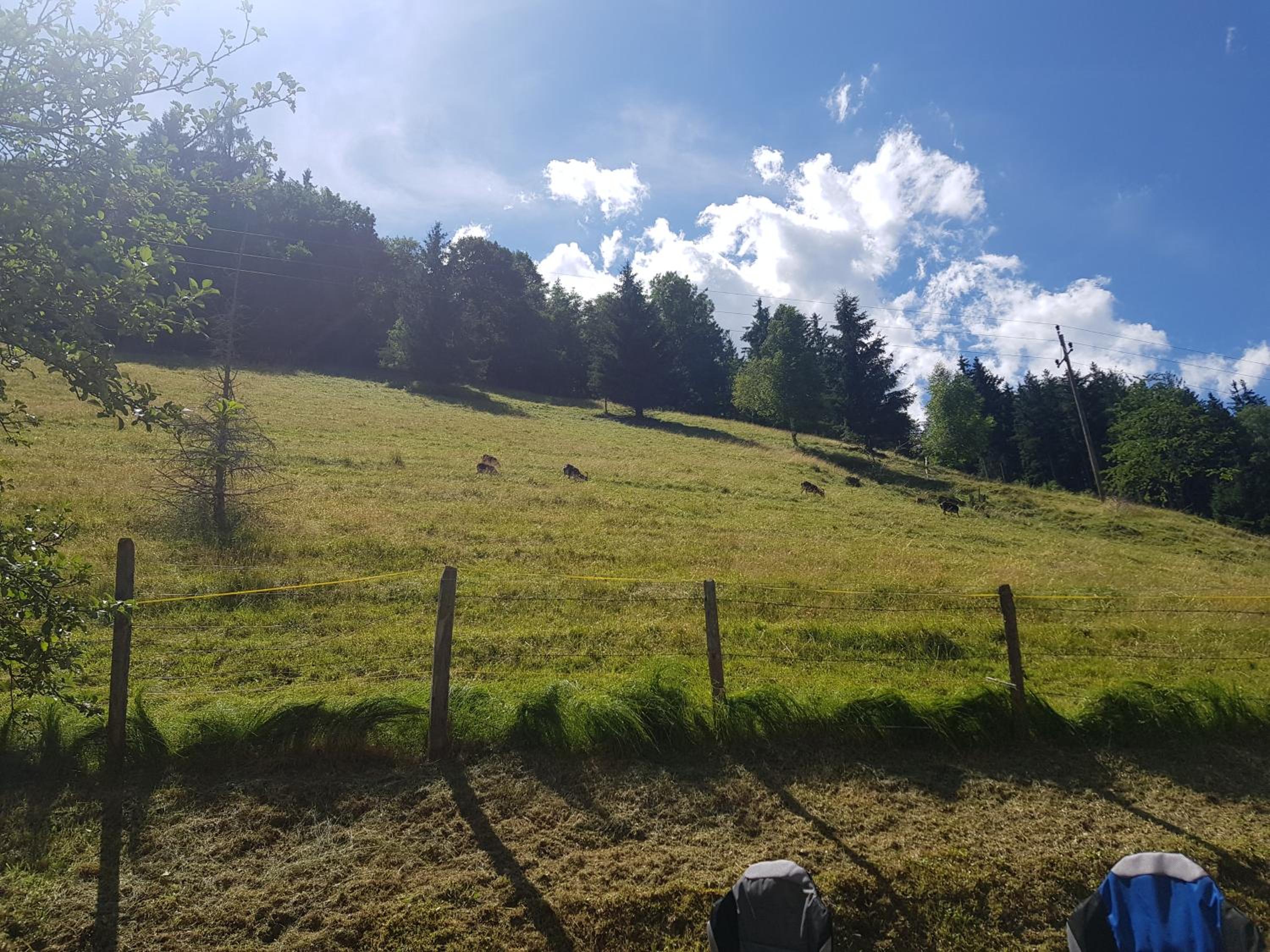 Ferienhaus Gastein