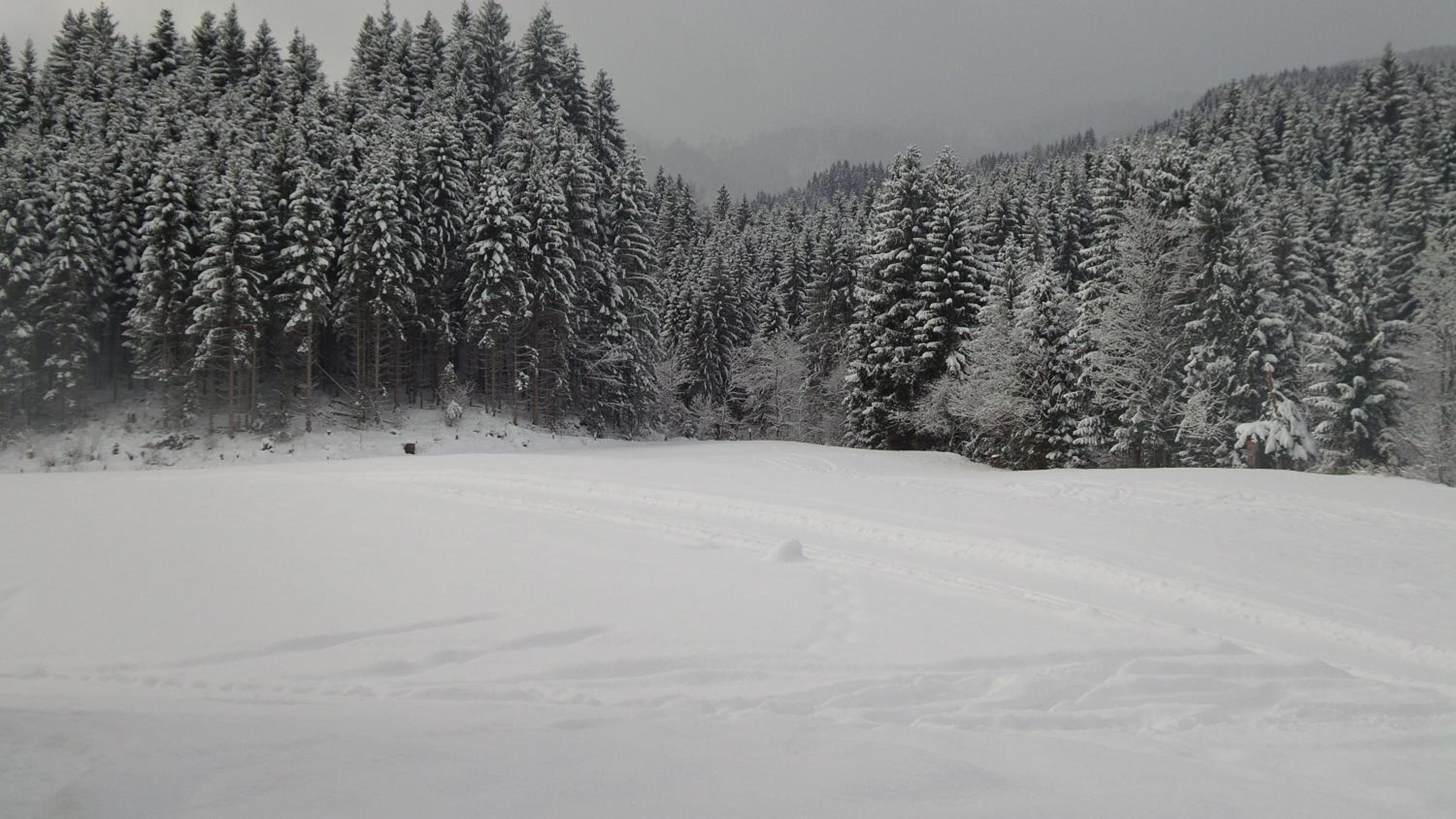 Schwaighof