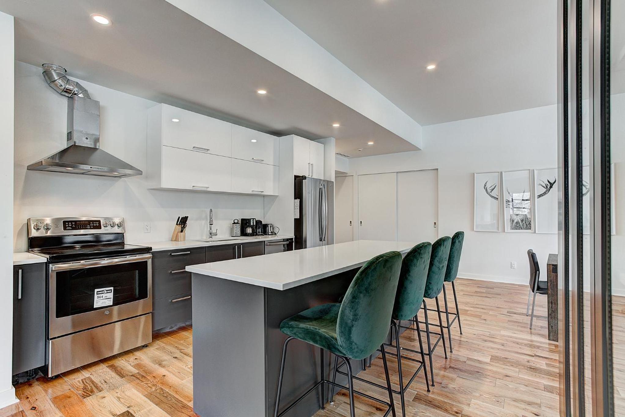 Modern Suites in NDG view 2