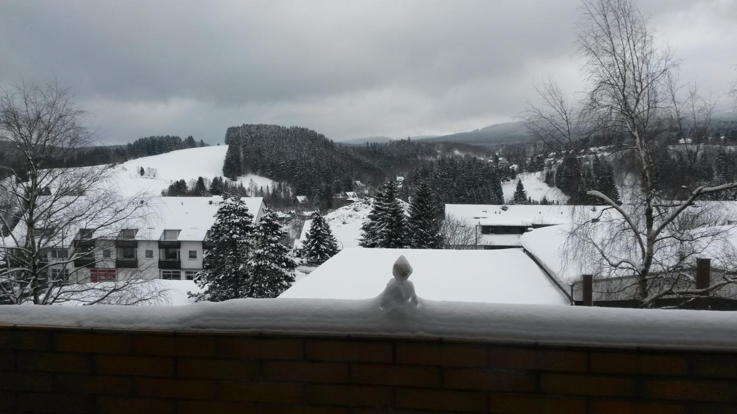 Ferienwohnung Harz