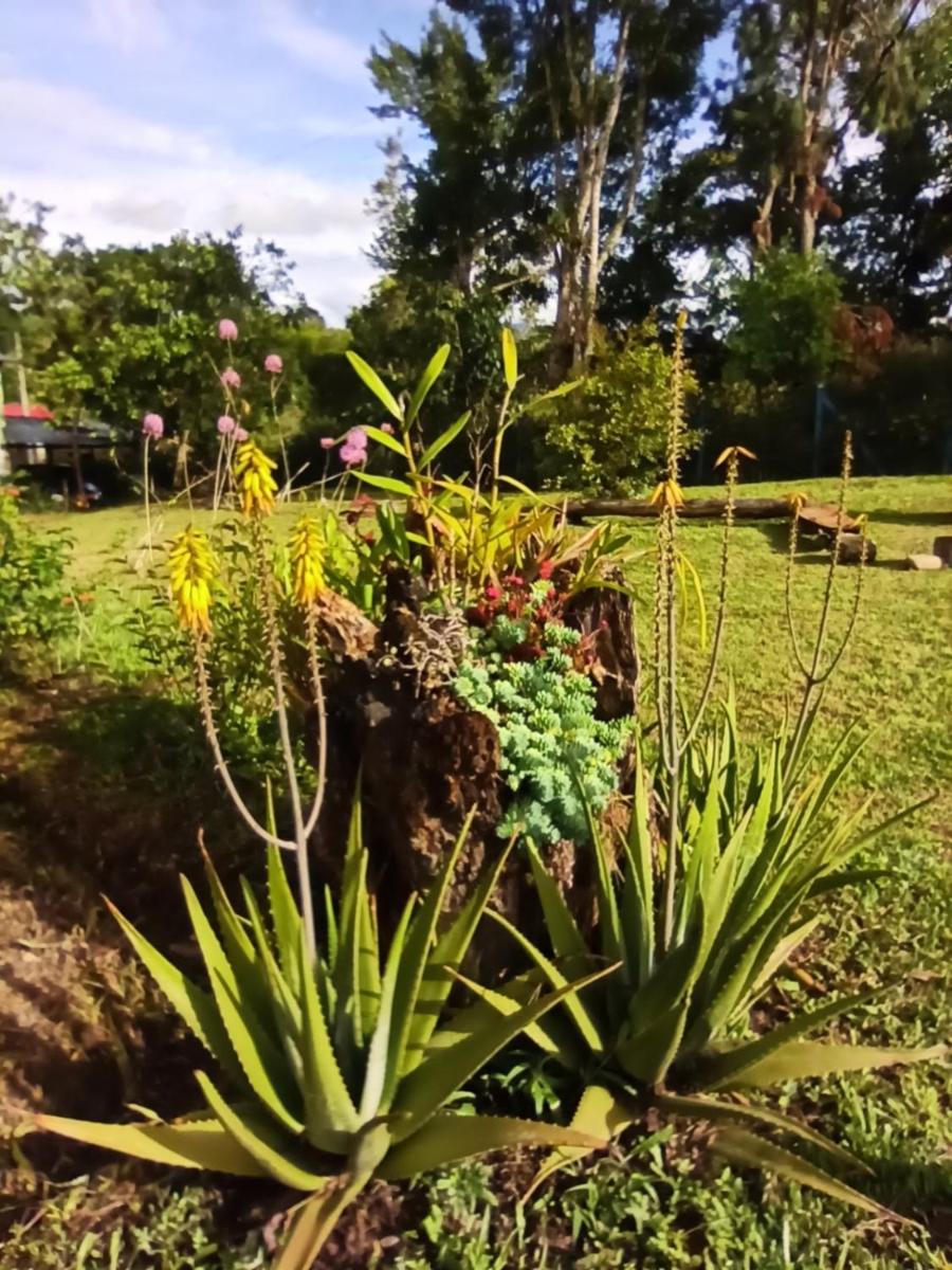 Casa Azul Pinar del Rio San Agustín