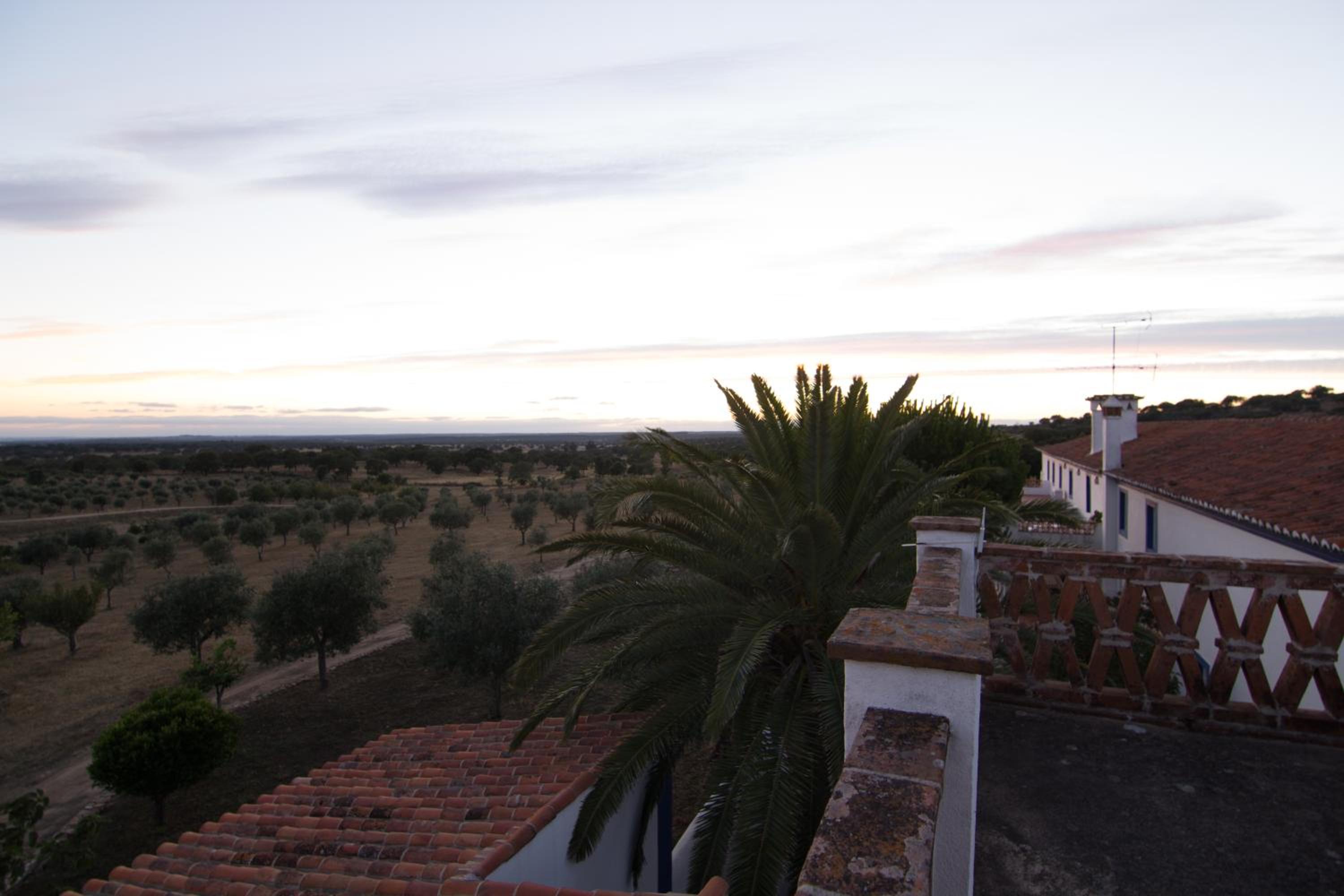 Photo 50