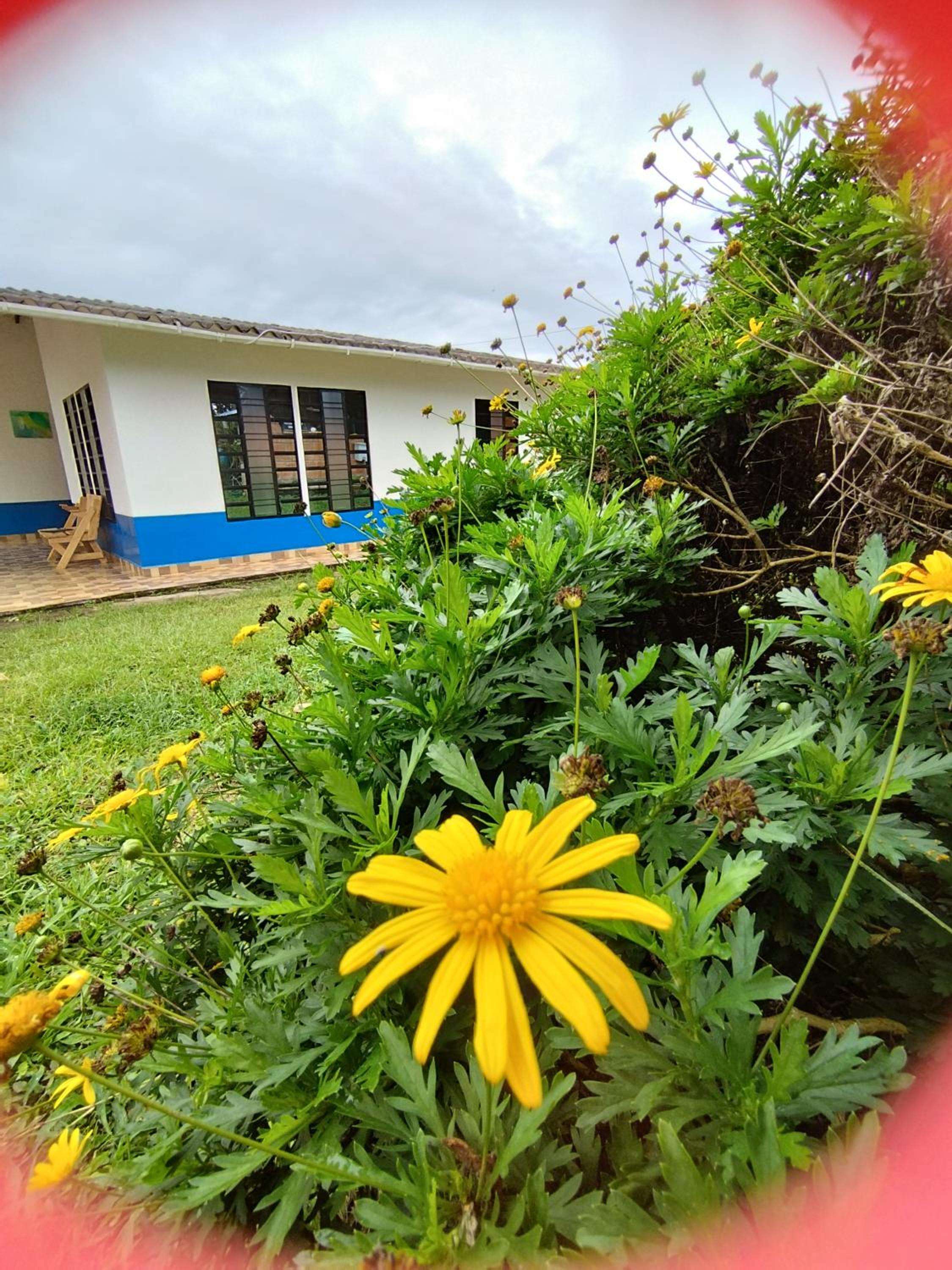 Casa Azul Pinar del Rio San Agustín
