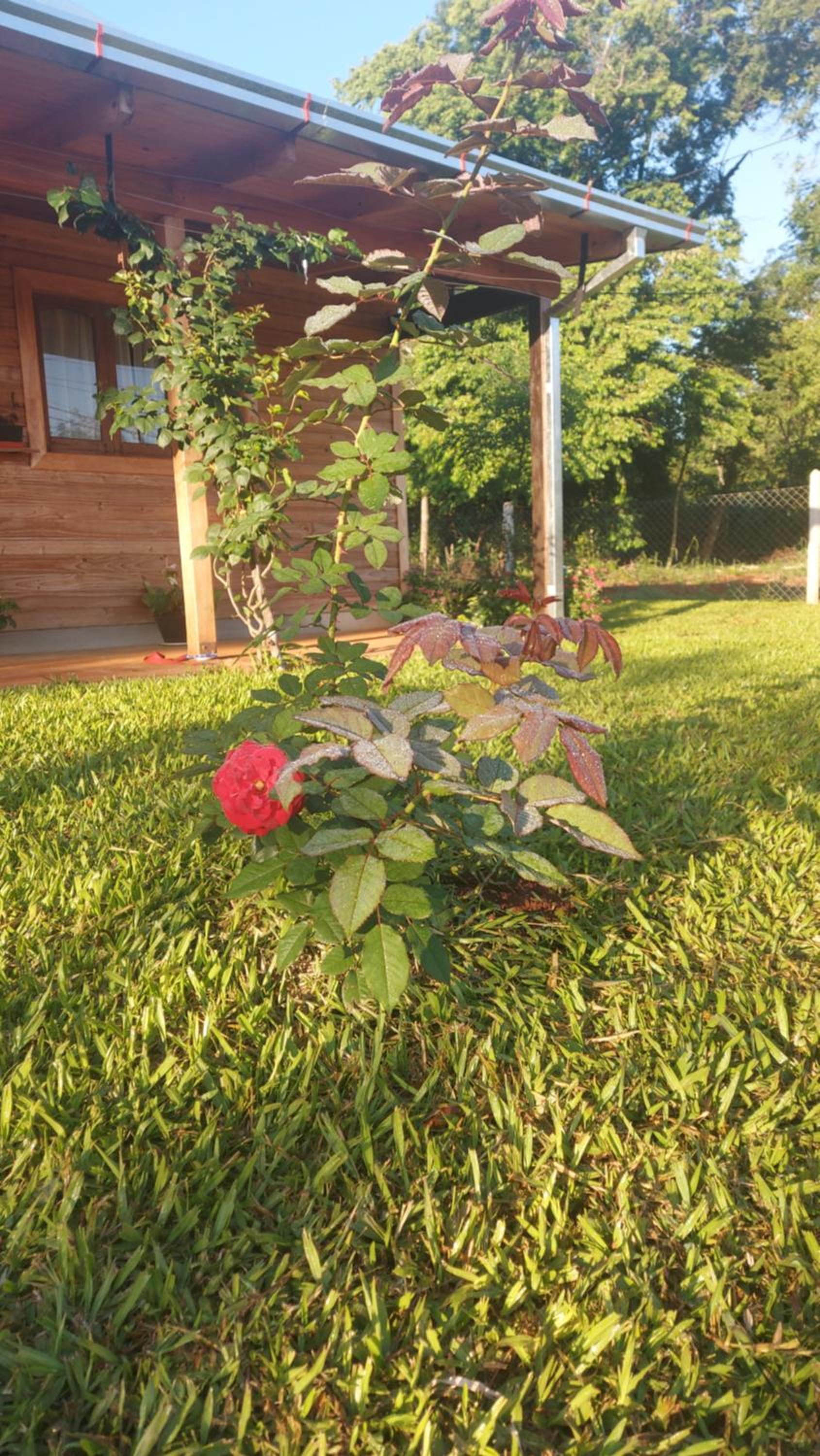 Casa de la Oma