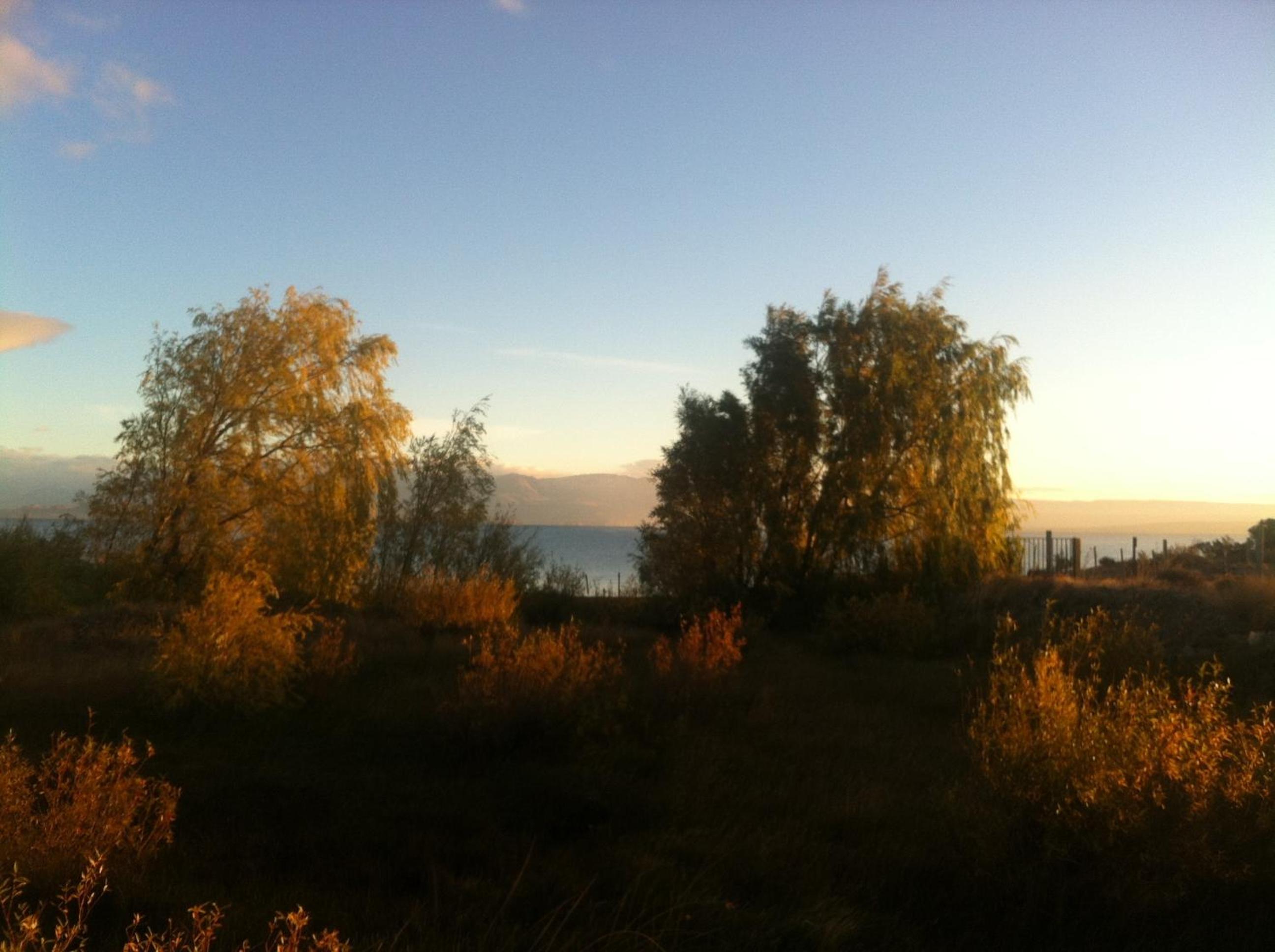 Photo 34