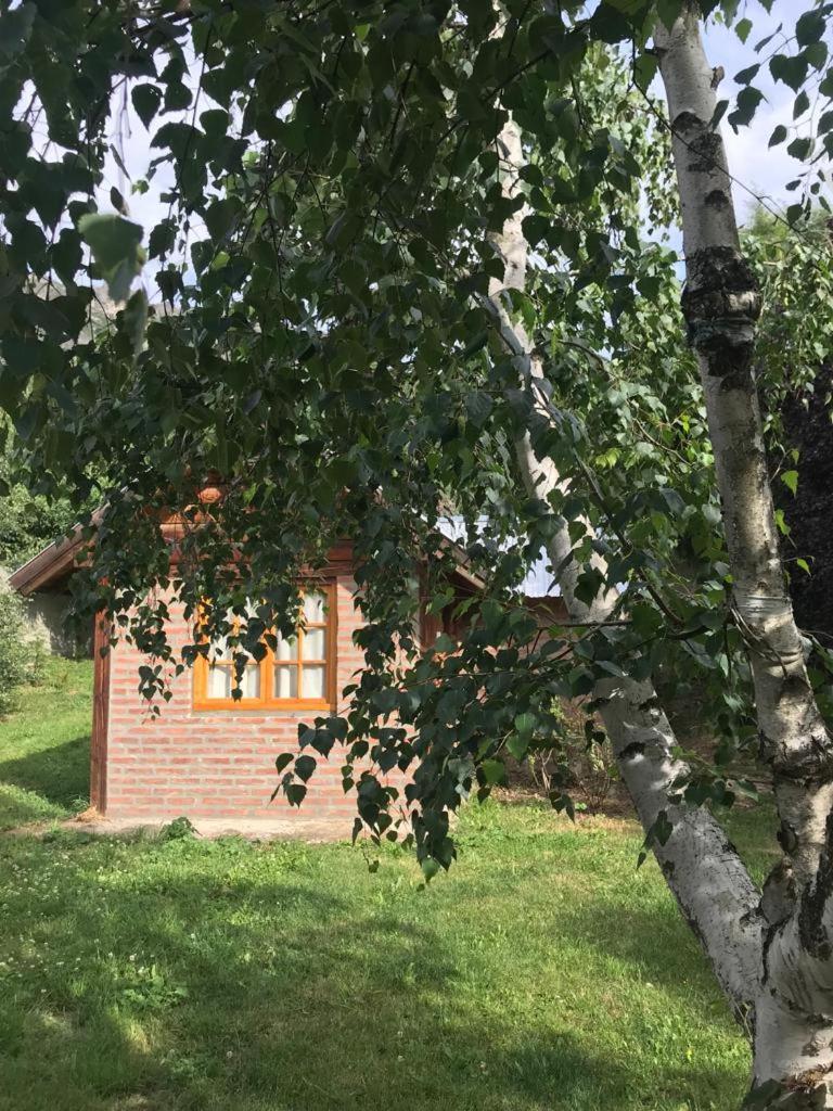 Cabañas del Alba