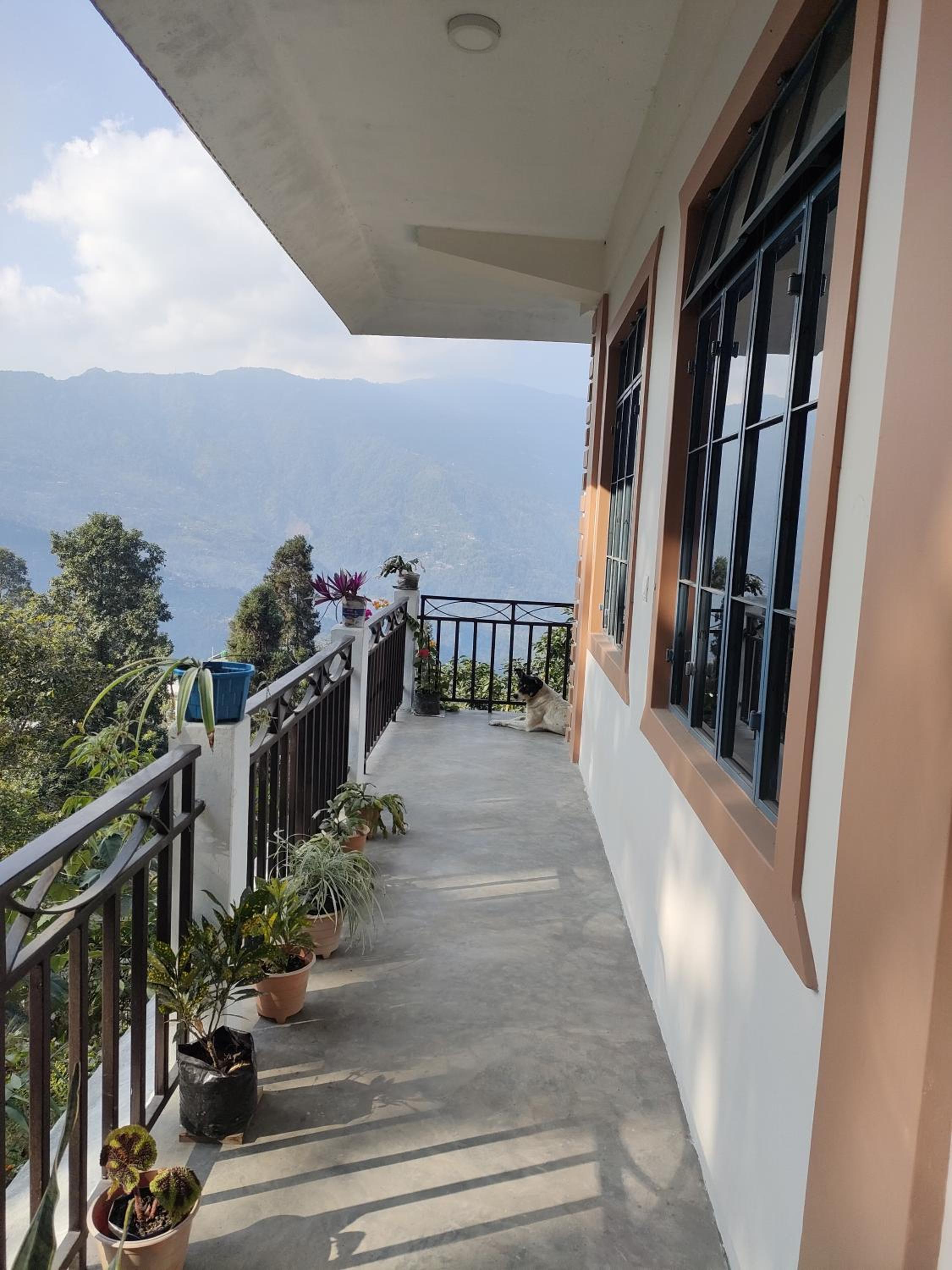 Prakriti Homestay view 2