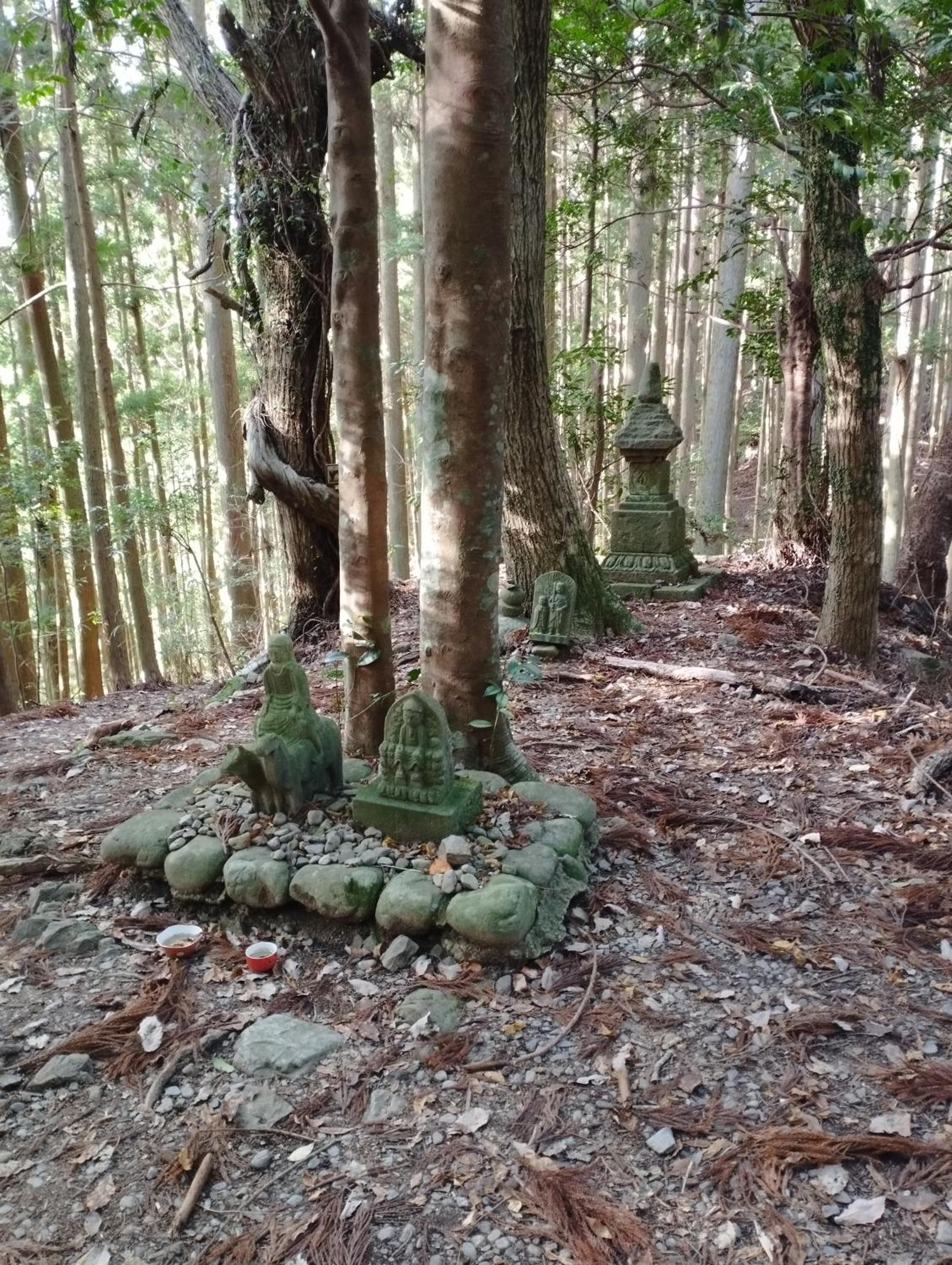 Kumano Kodo Nagano Guesthouse view 5