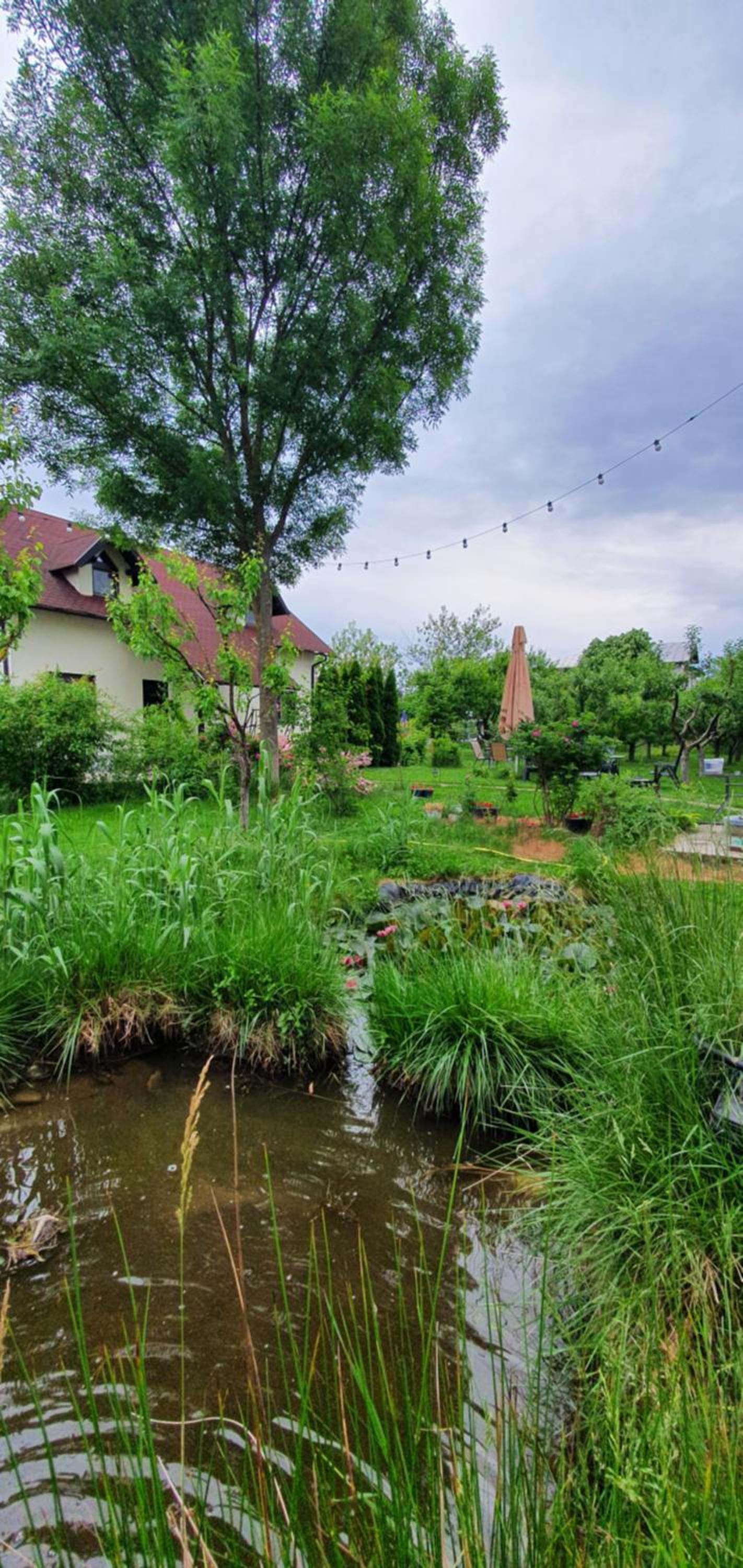 Forest Inn