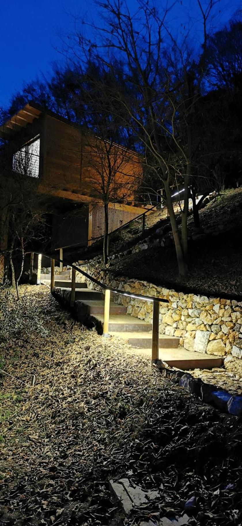 Tree House San Giorgio view 3