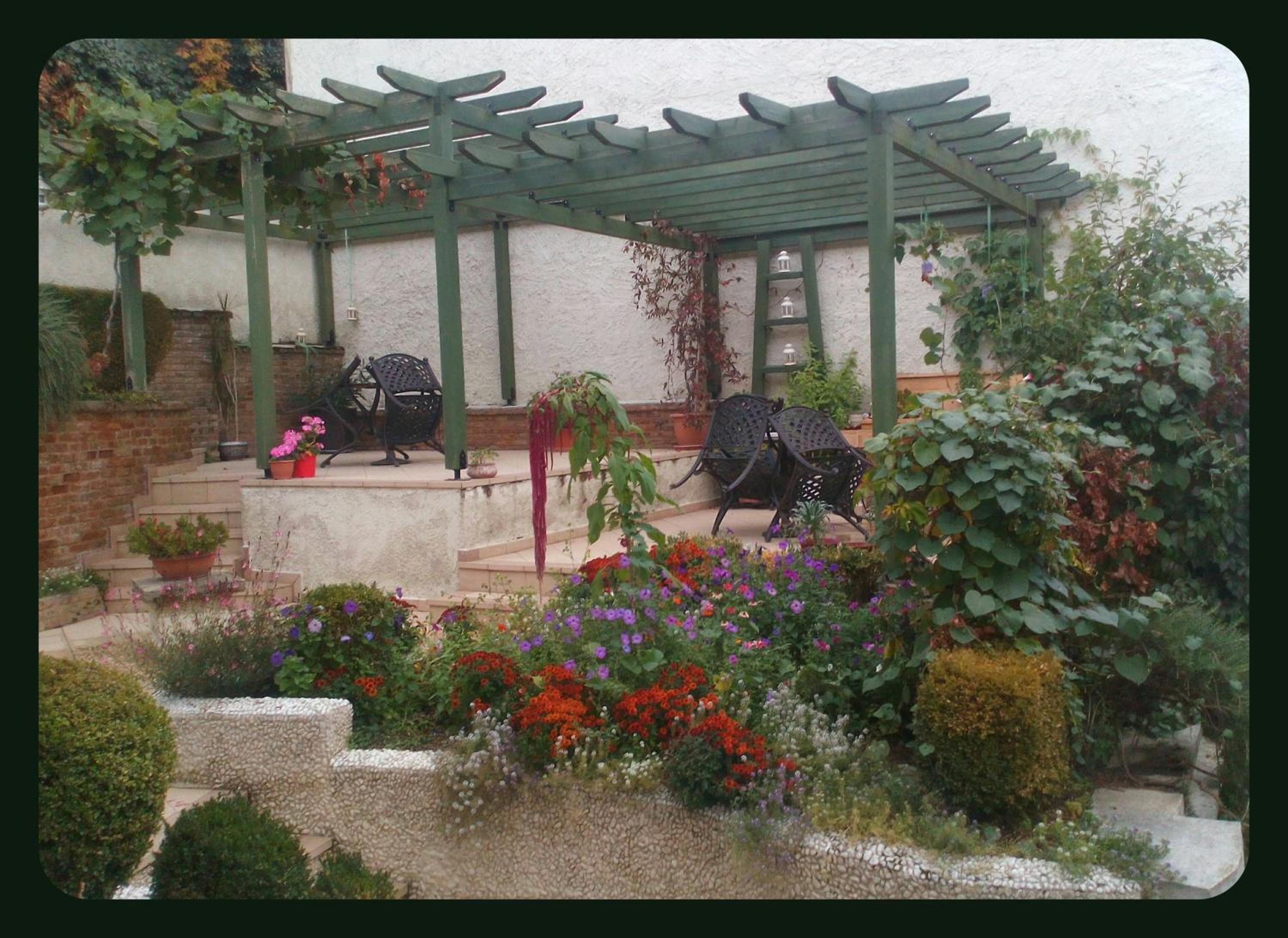 Photo 7