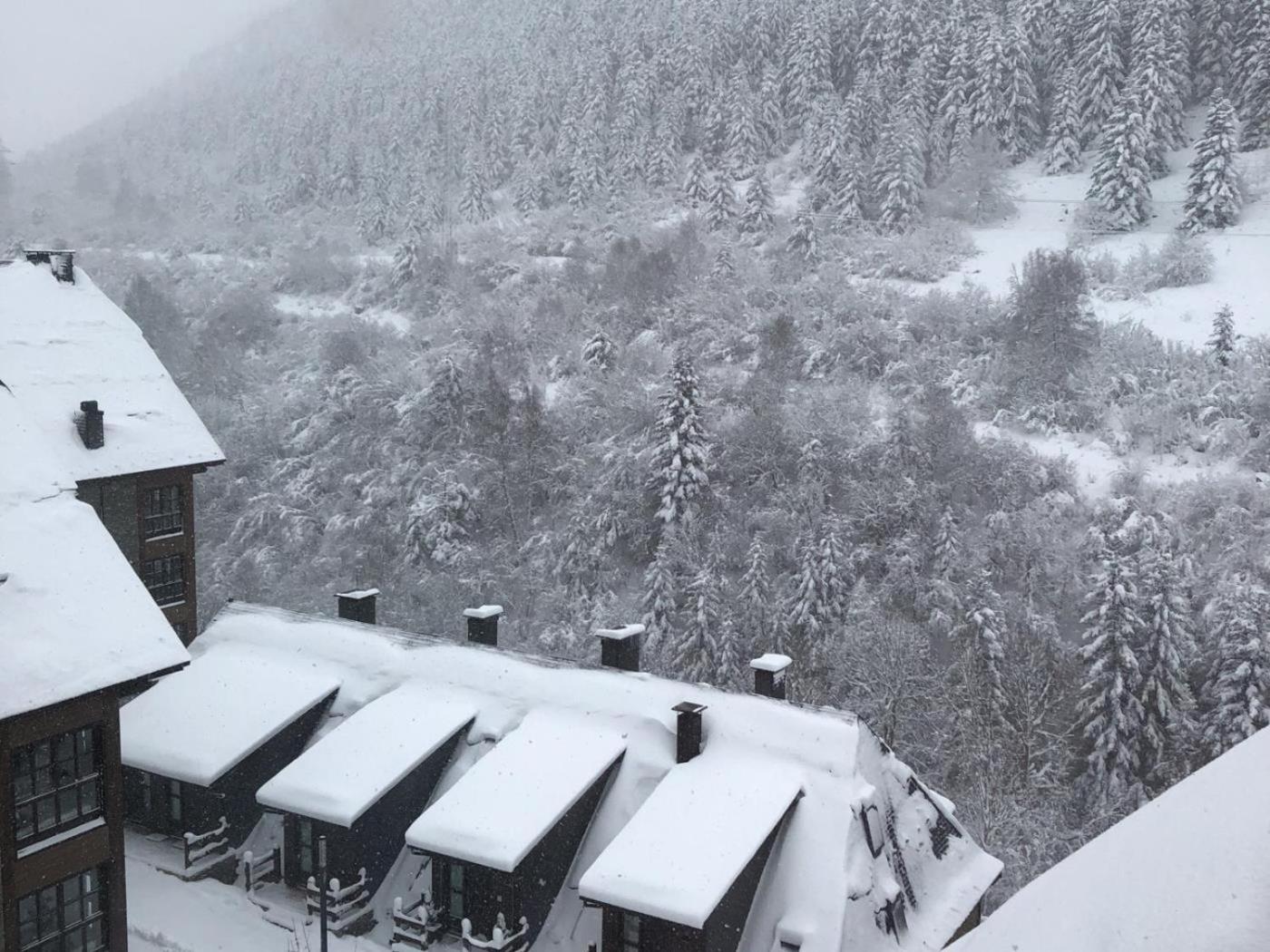ESCORNACRABES de Alma de Nieve