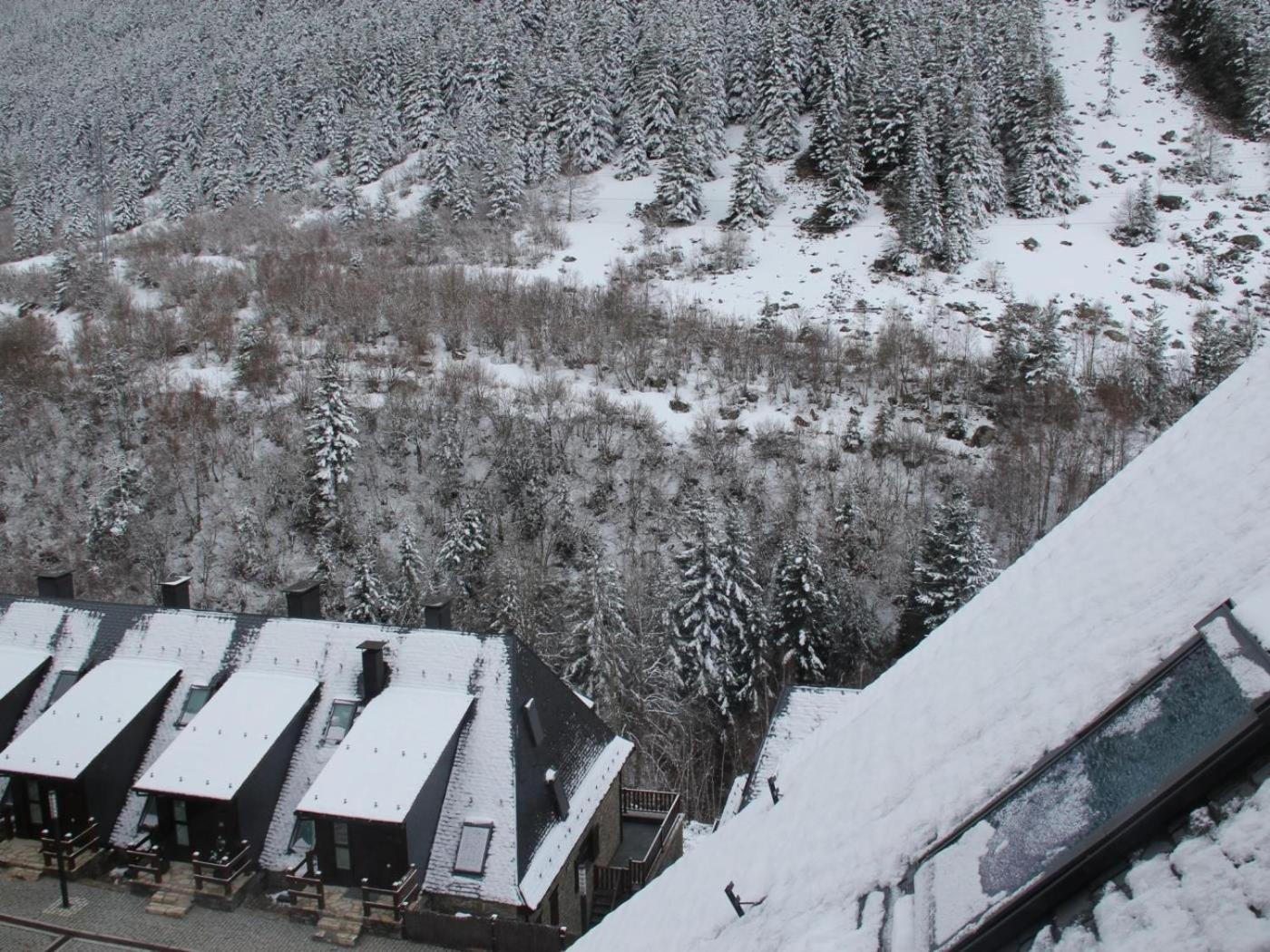ESCORNACRABES de Alma de Nieve