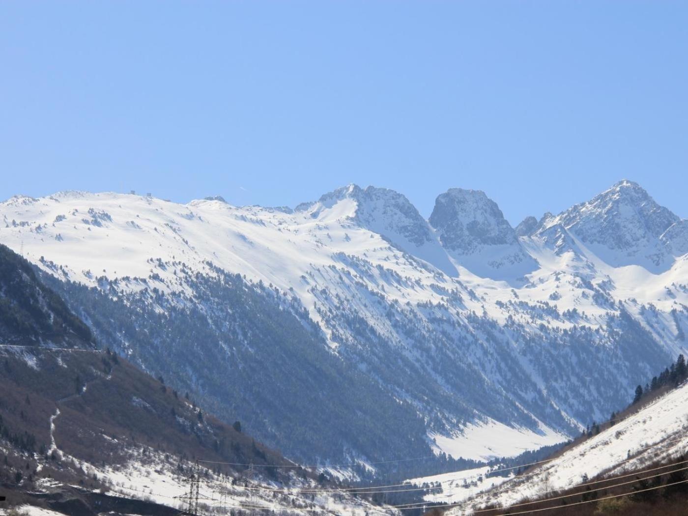 ESCORNACRABES de Alma de Nieve