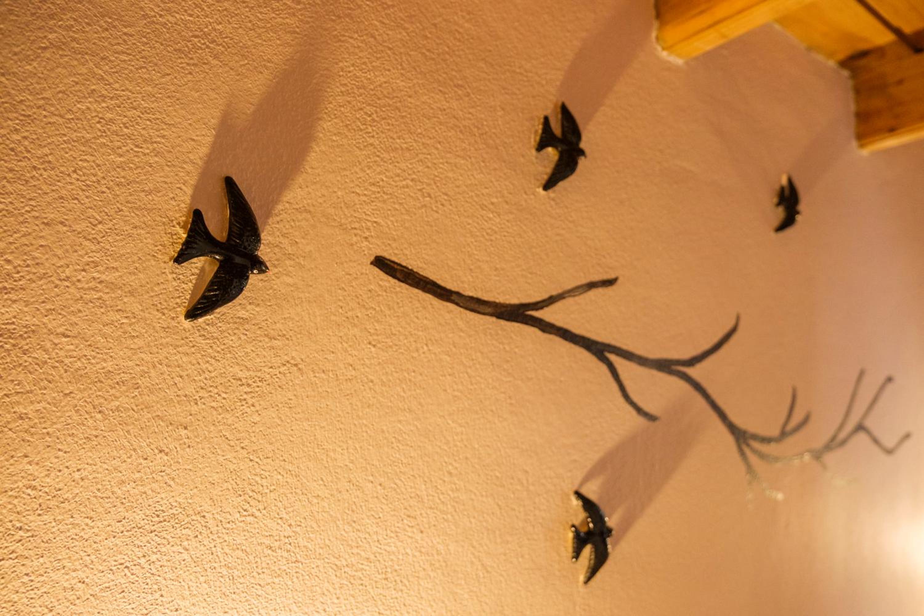 Photo 45