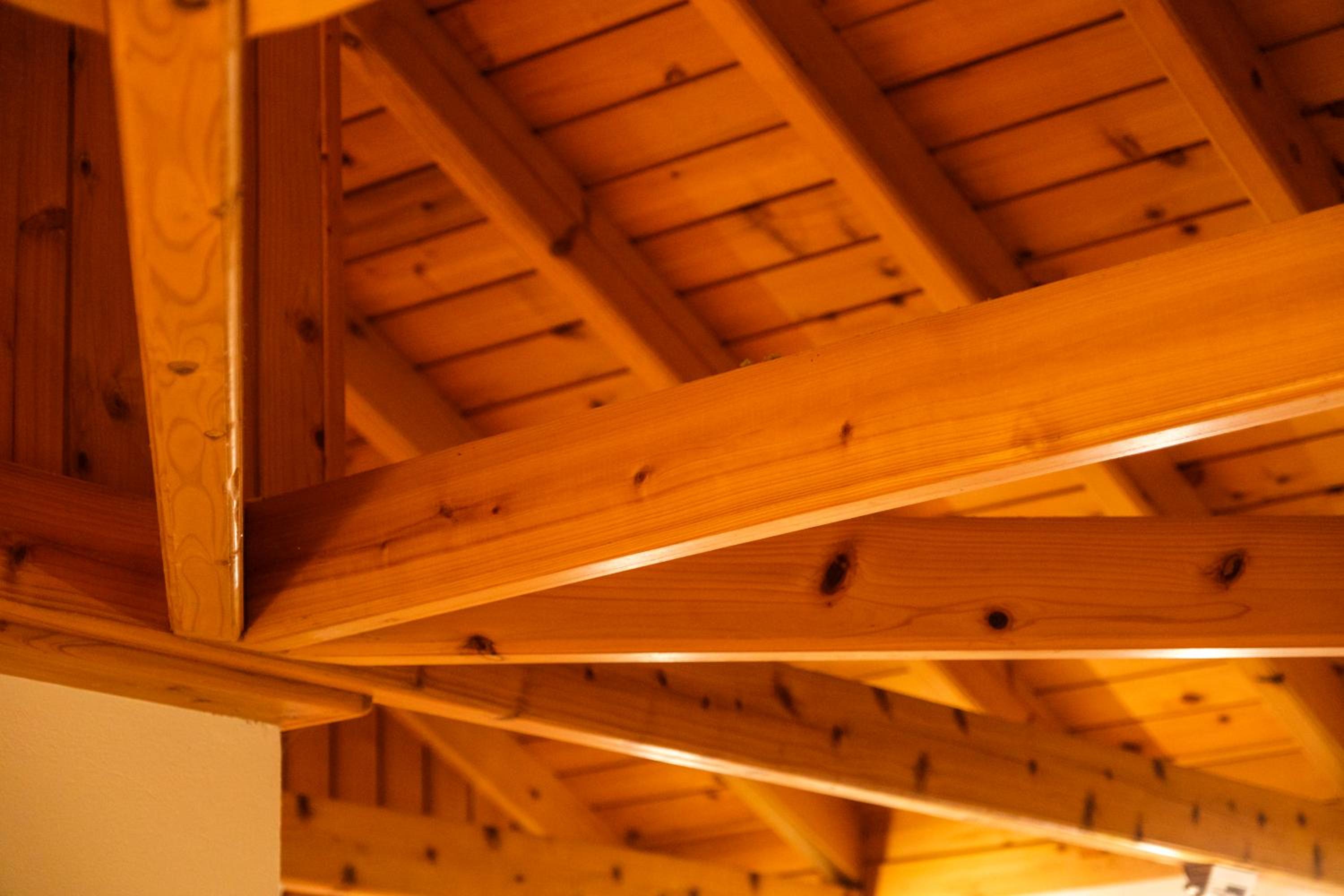 Photo 61
